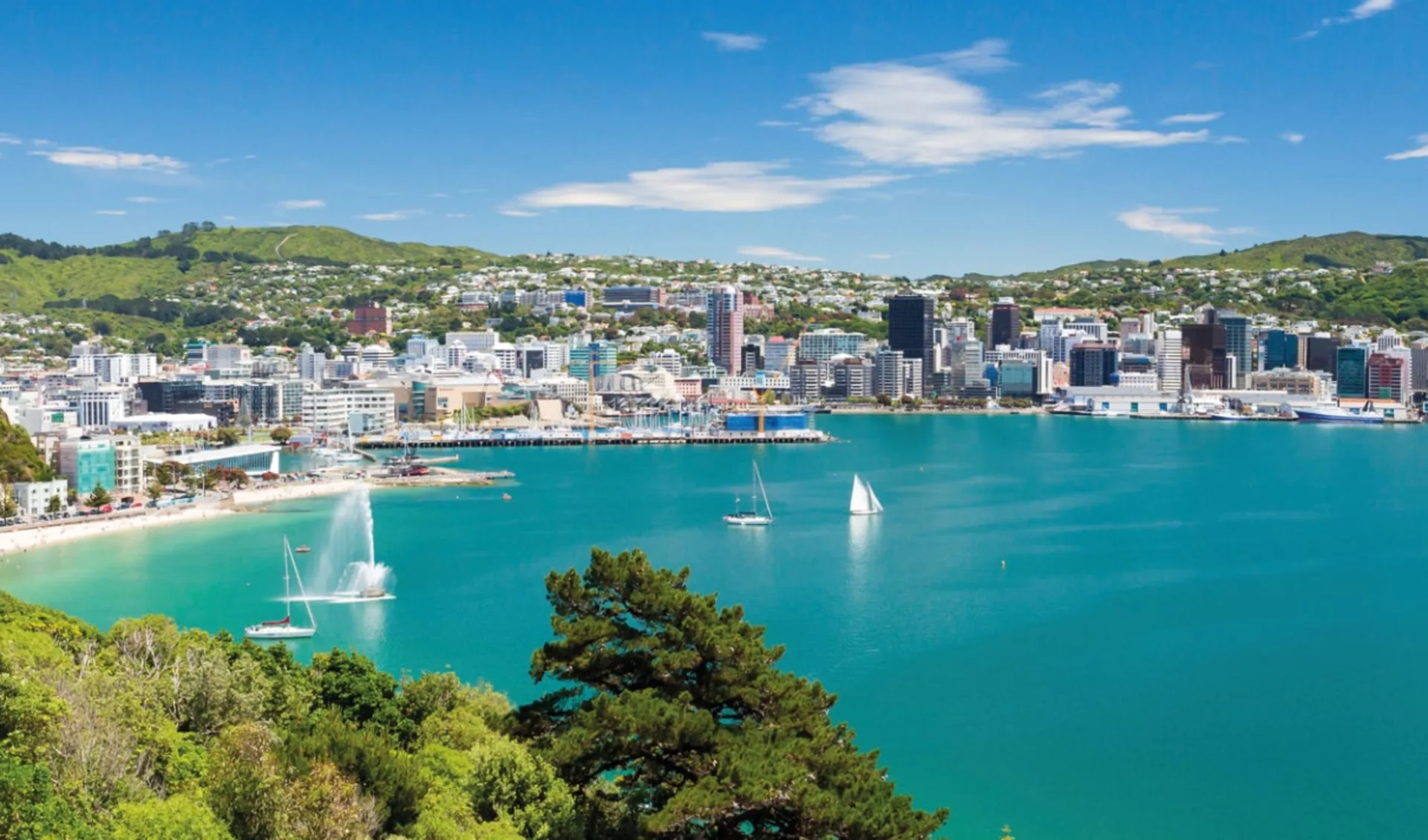 Fjorde, Vulkane und Begegnungen ab Auckland: Neuseeland - Nordinsel - Blick vom Mount Victoria nach Wellington