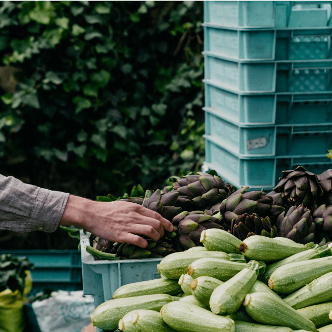 Person reaching for an artichoke from a crate