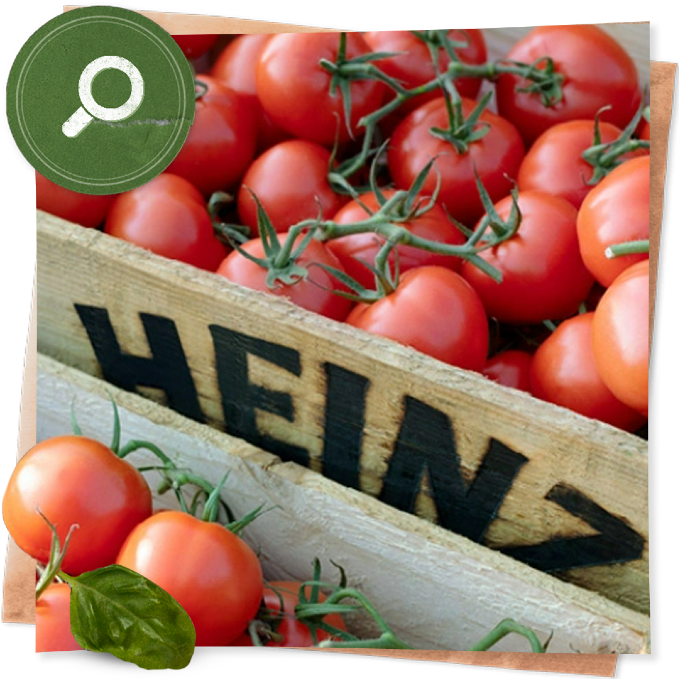 Wood boxes of fresh tomatoes at the Heinz research farm, where we test sustainable practices and make new tomato varieties.