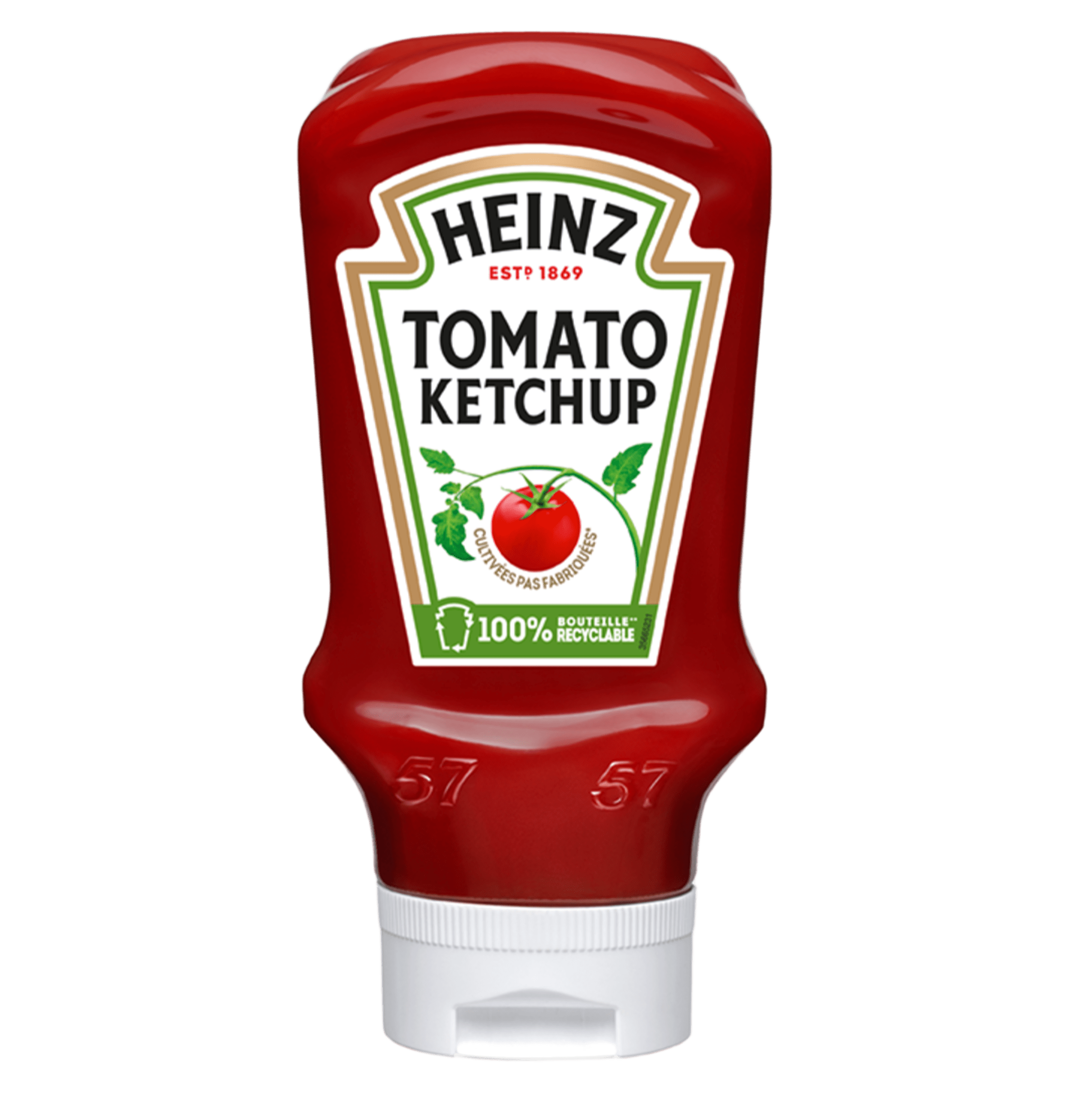 Tomato Ketchup Top Down
