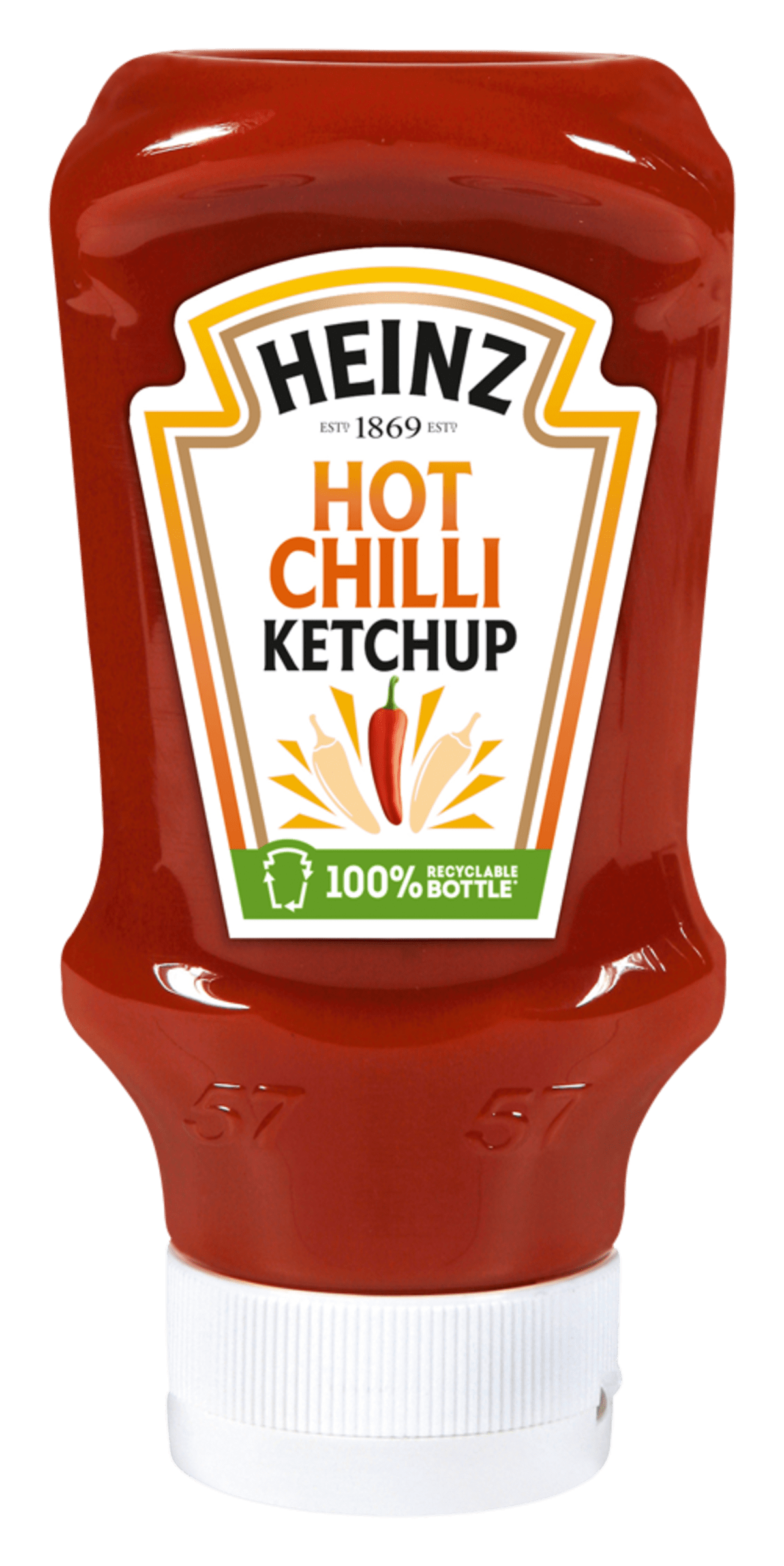 Hot Chilli Ketchup