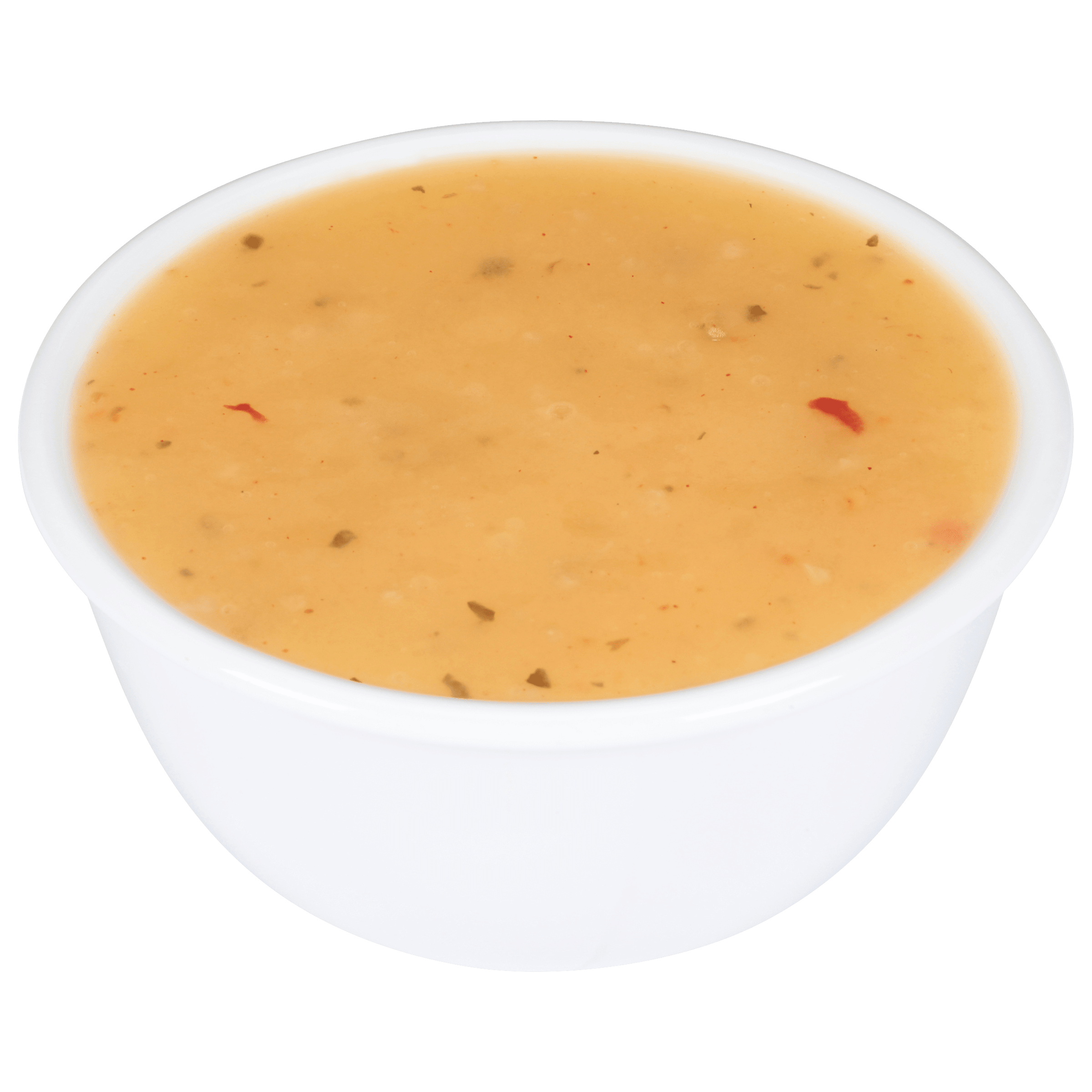 Golden Italian Salad Dressing