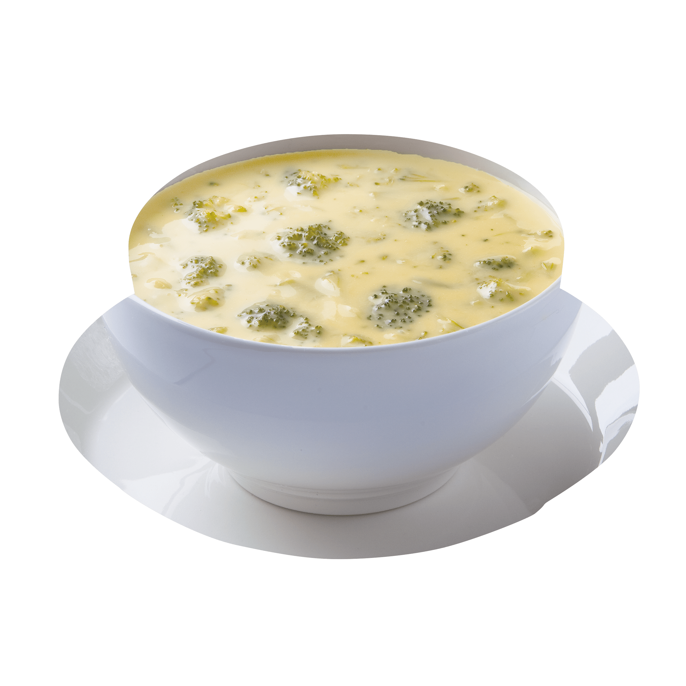 Broccoli & Cheese with Florets Soup
