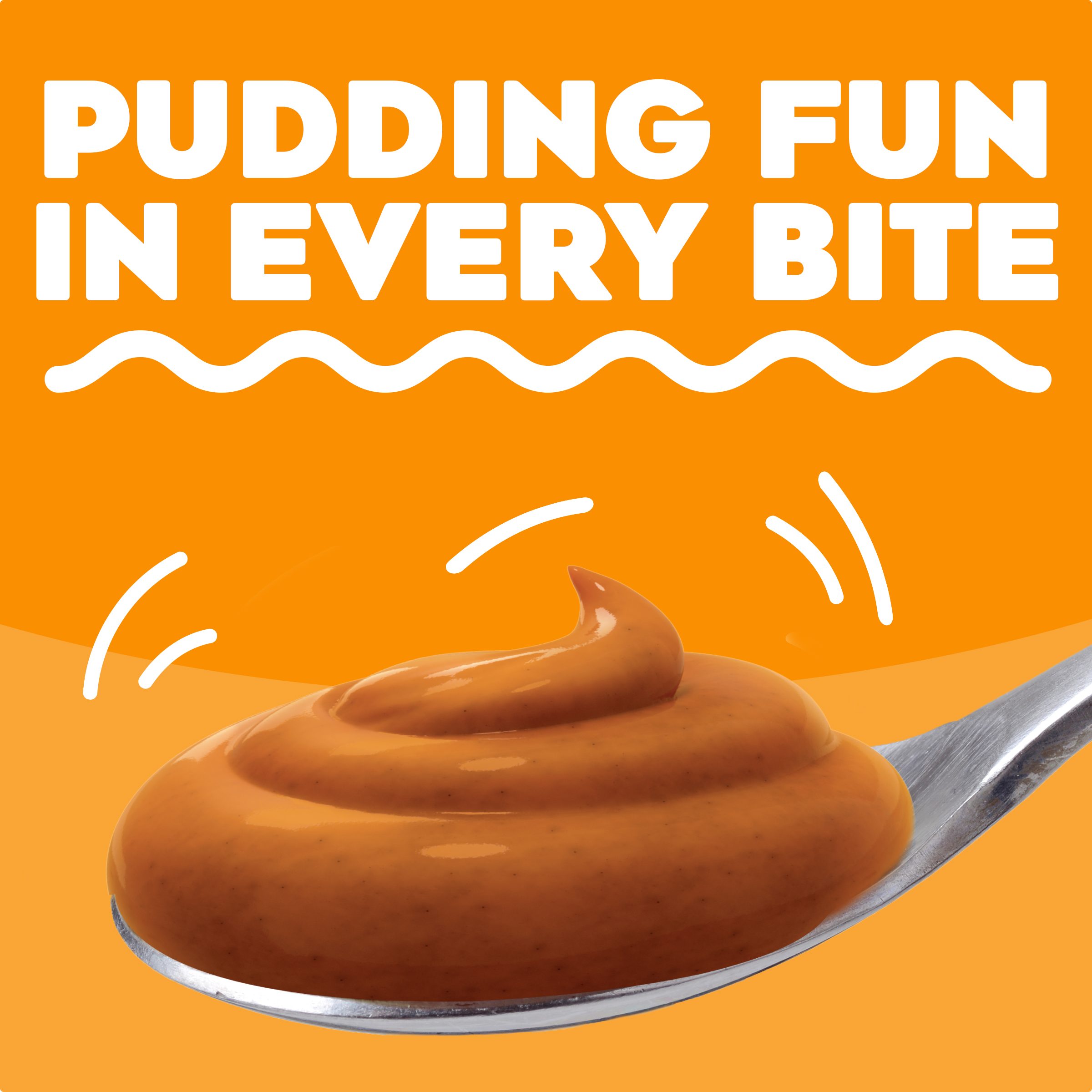 Pumpkin Spice Instant Pudding & Pie Filling Mix