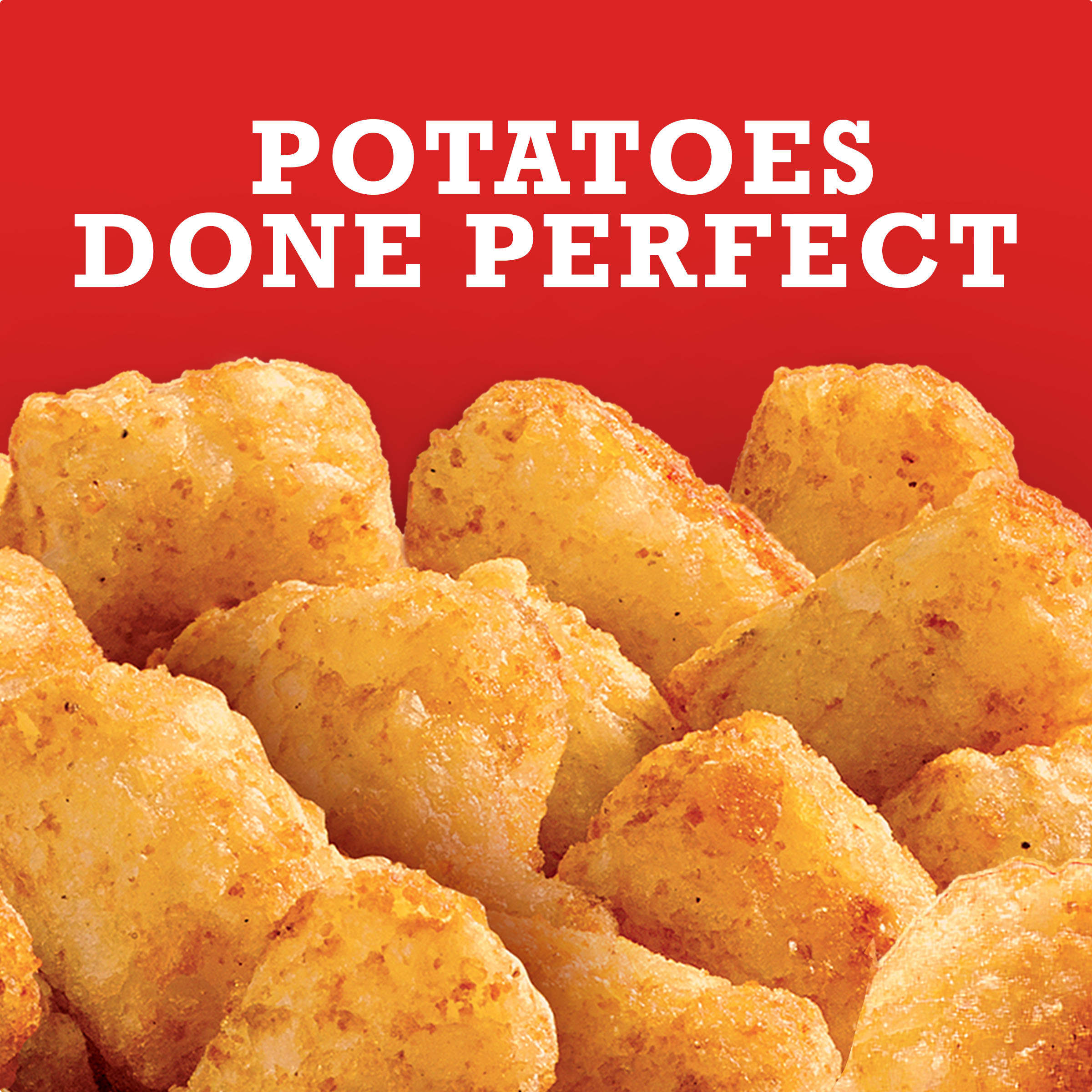 Golden Tater Tots Seasoned Shredded Frozen Potatoes Value Size