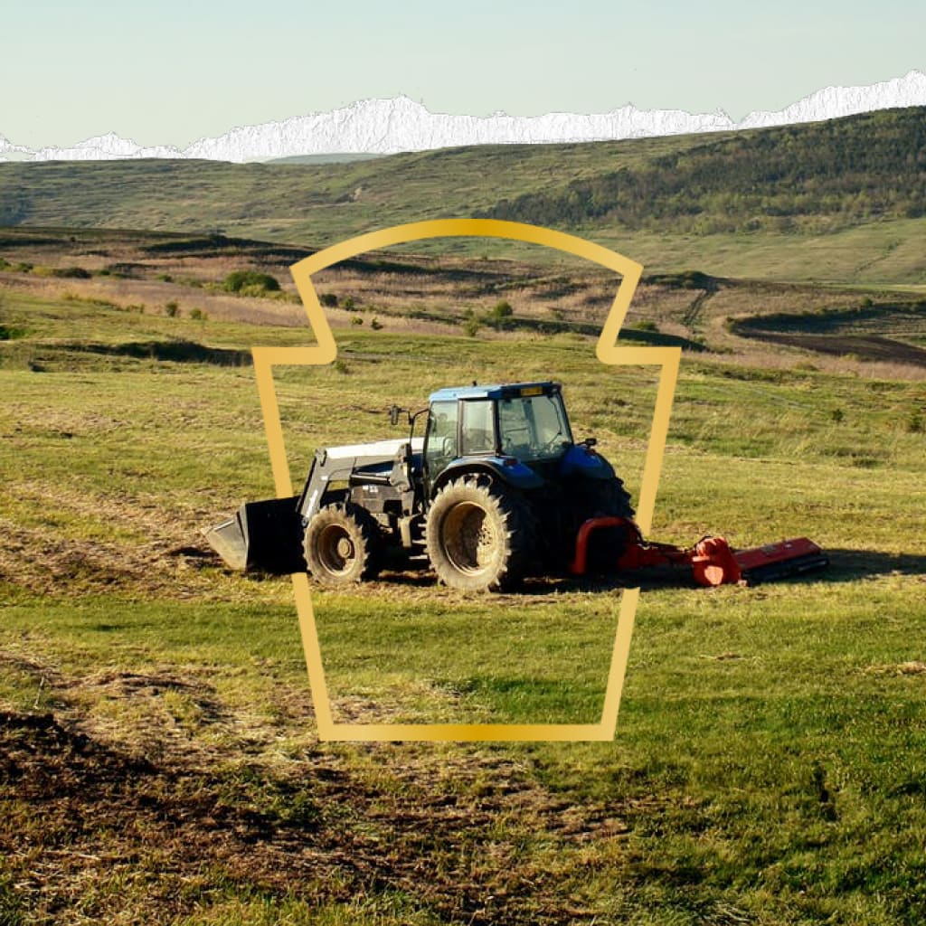 Un trattore verde che lavora un campo, incorniciato nella chiave di volta di Heinz.