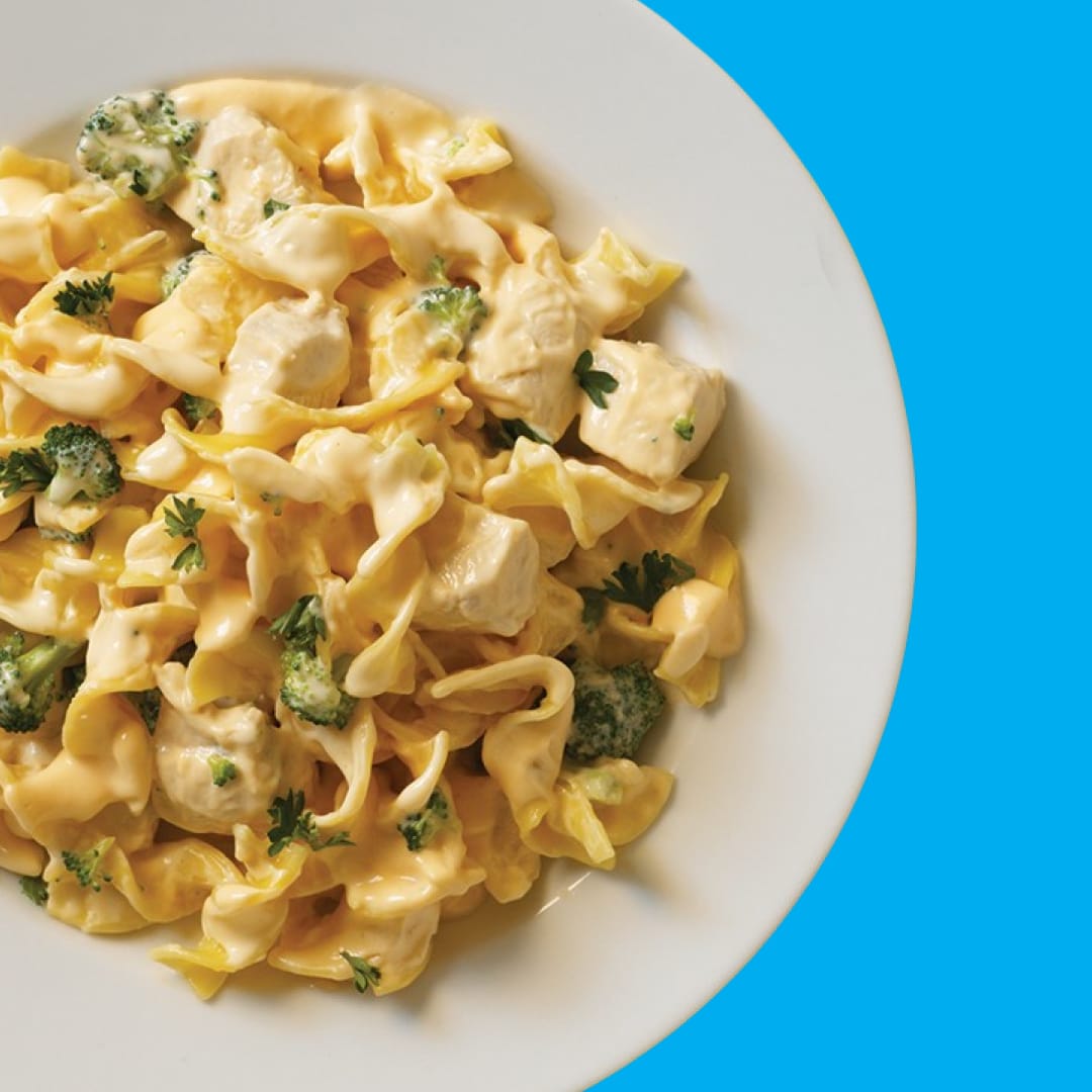 A plate of creamy chicken pasta on a blue background