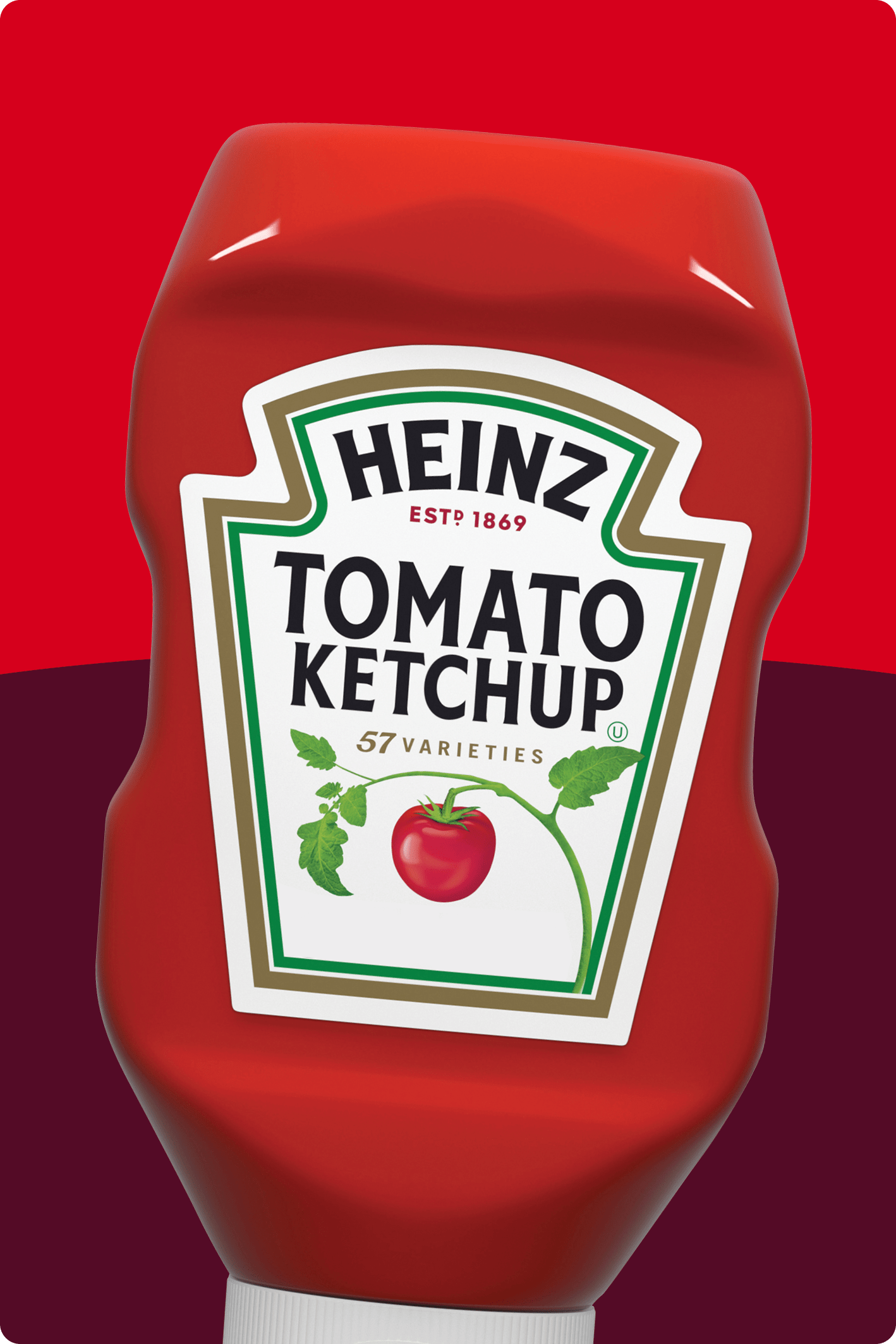 A picture of a Heinz Tomato Ketchup bottle.