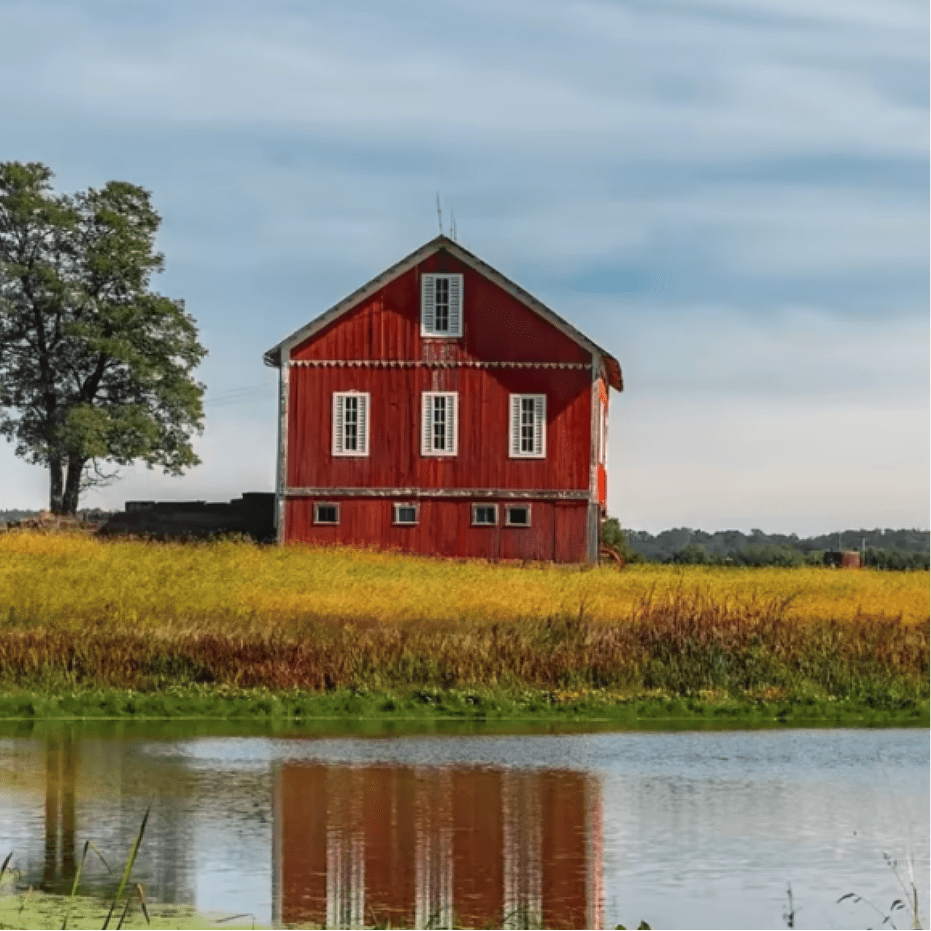 A classic red barn nestled in a golden field beside a calm pond
