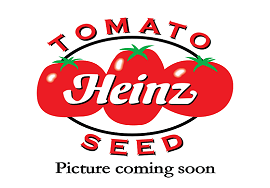 H9205