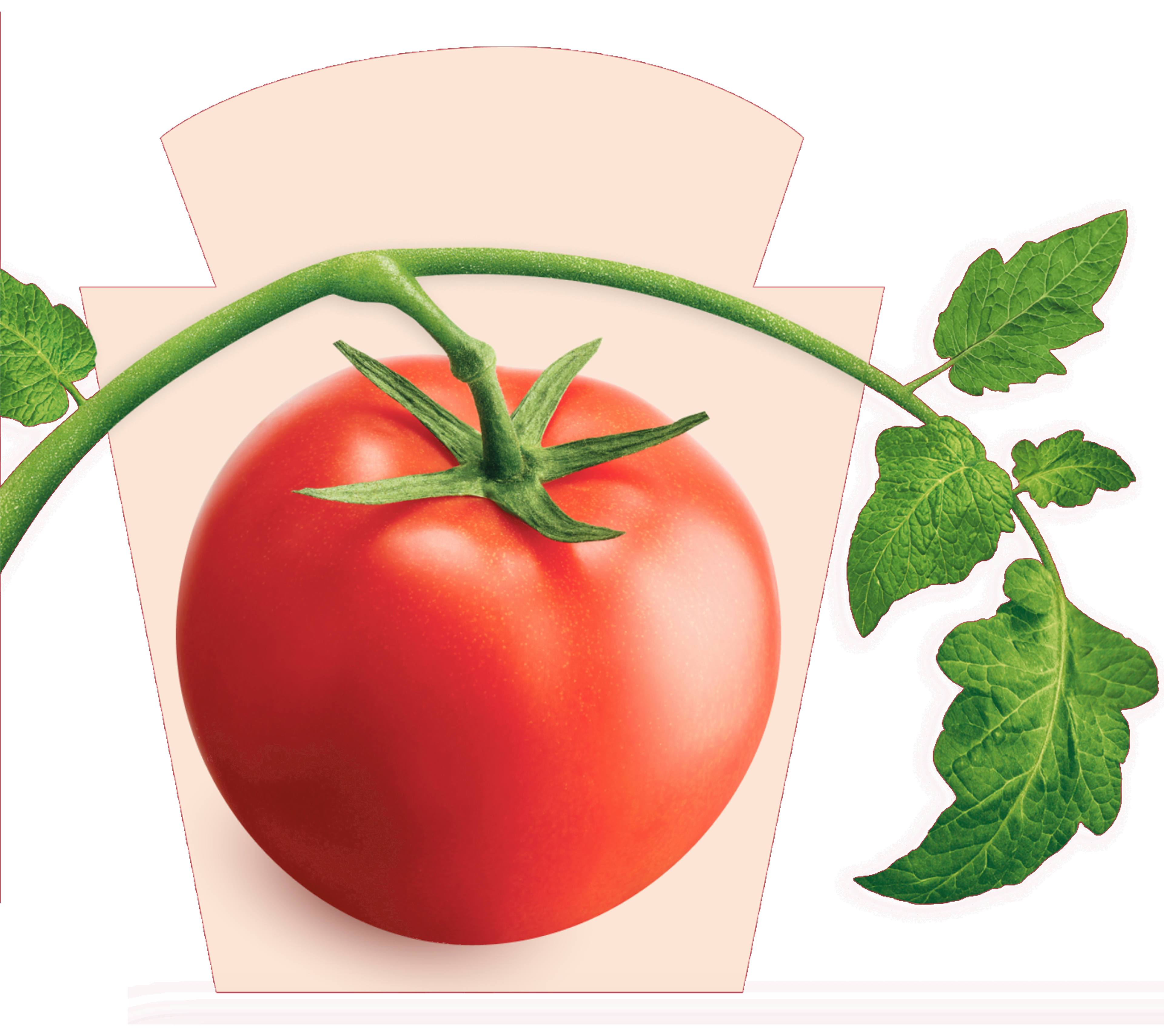 Un pomodoro rosso maturo e succoso con foglie verdi, parzialmente sovrapposto all'iconico logo a chiave di volta di Heinz.