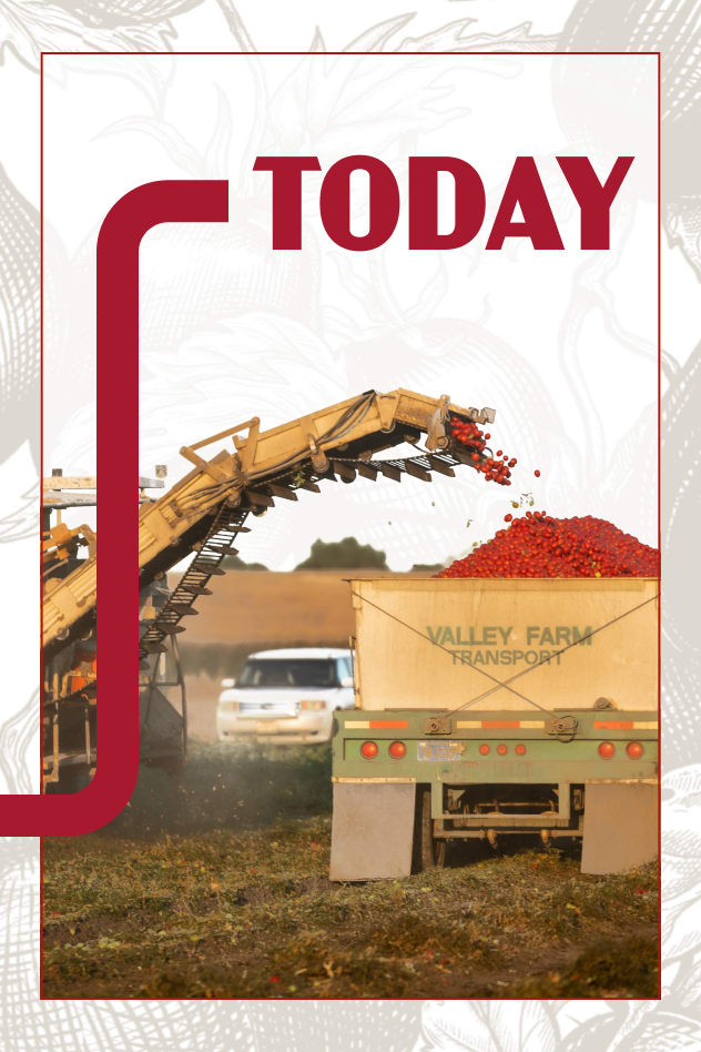 At Kraft Heinz Away From Home, we bring the freshest ingredients from the field to your table. This photo captures the moment