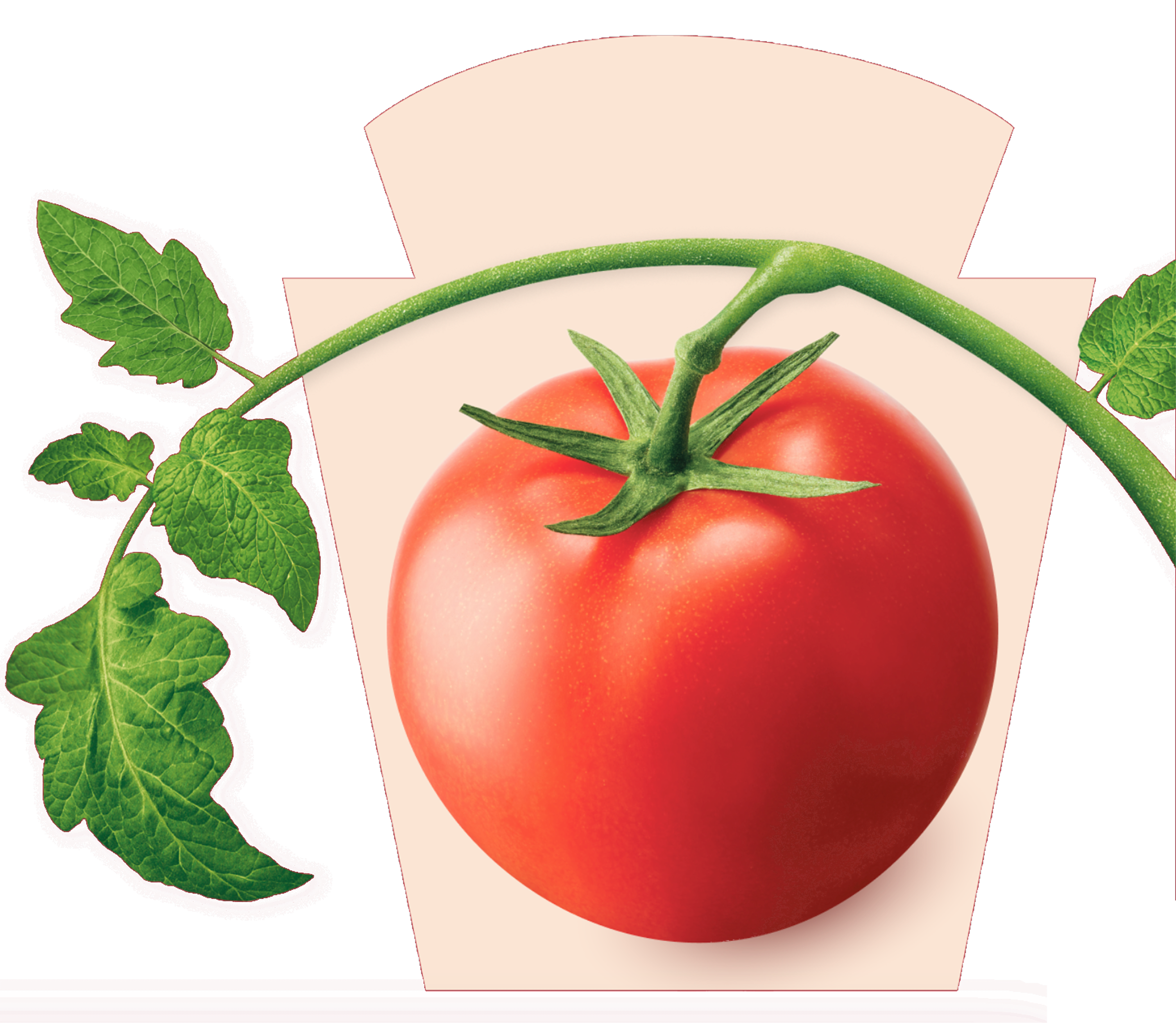 A ripe, red tomato on the vine, set against a light background, framed by the Heinz keystone logo, symbolizing the fresh, nat