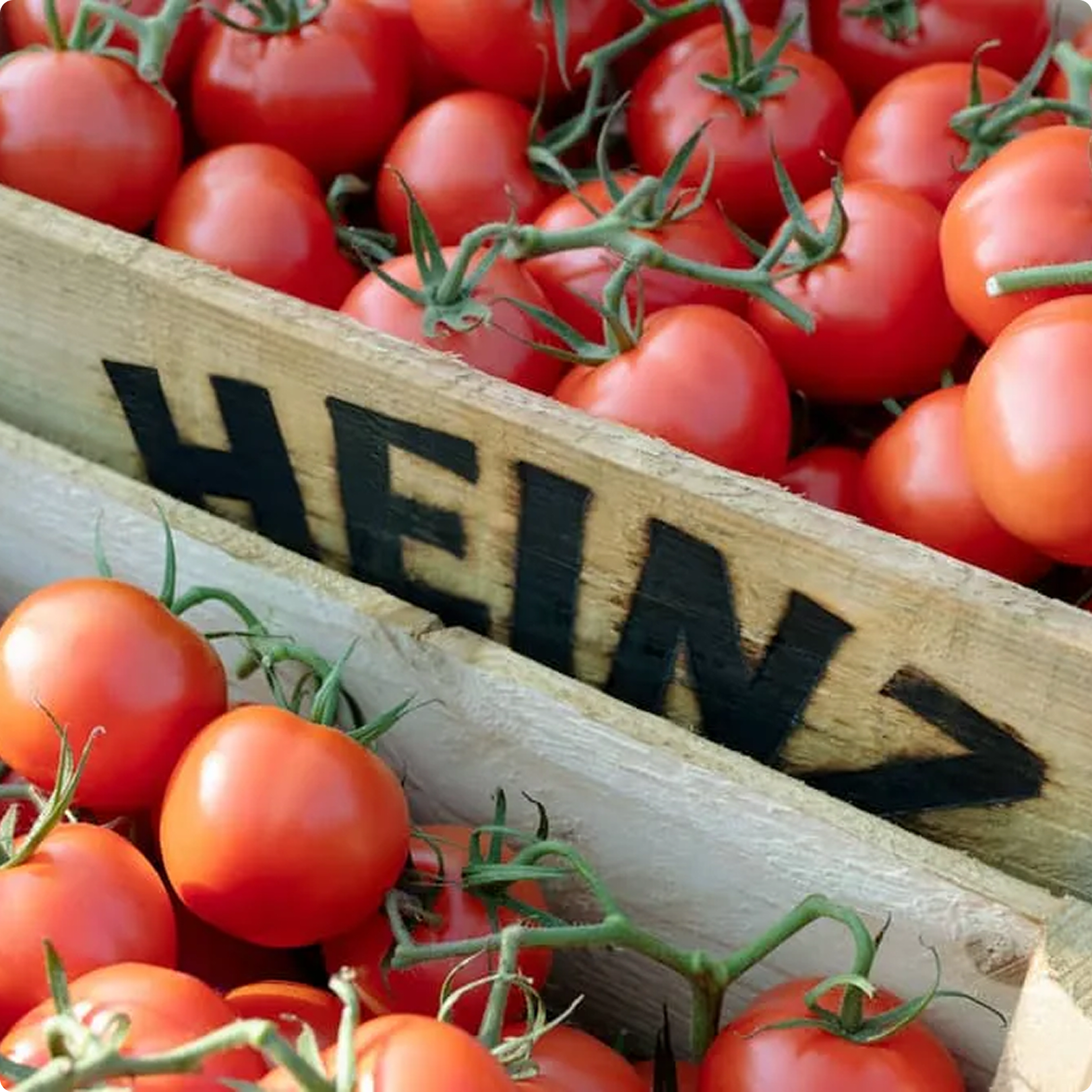 Tomatoes in a wooden crate labeled Heinz.