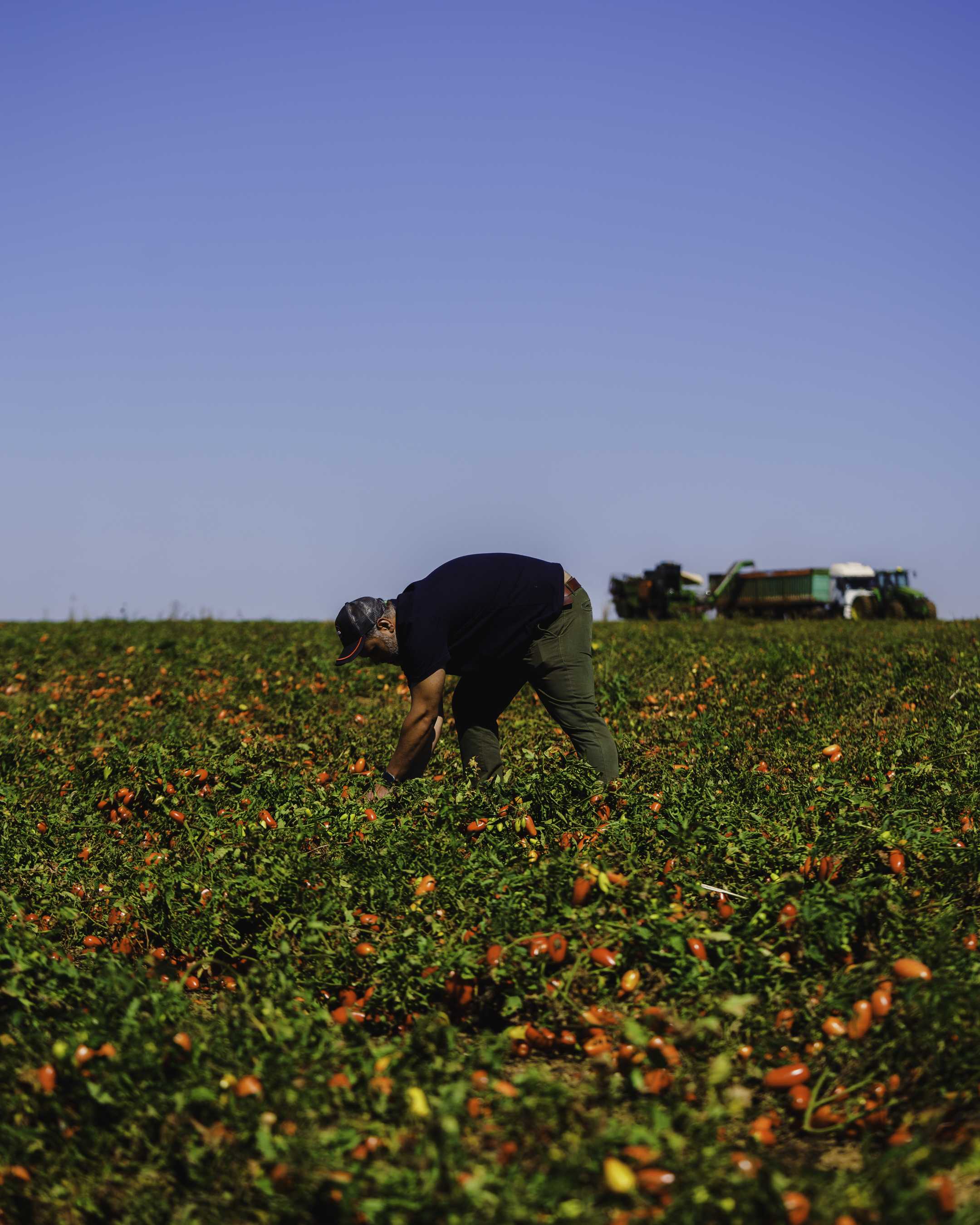 Please provide an alt for this image