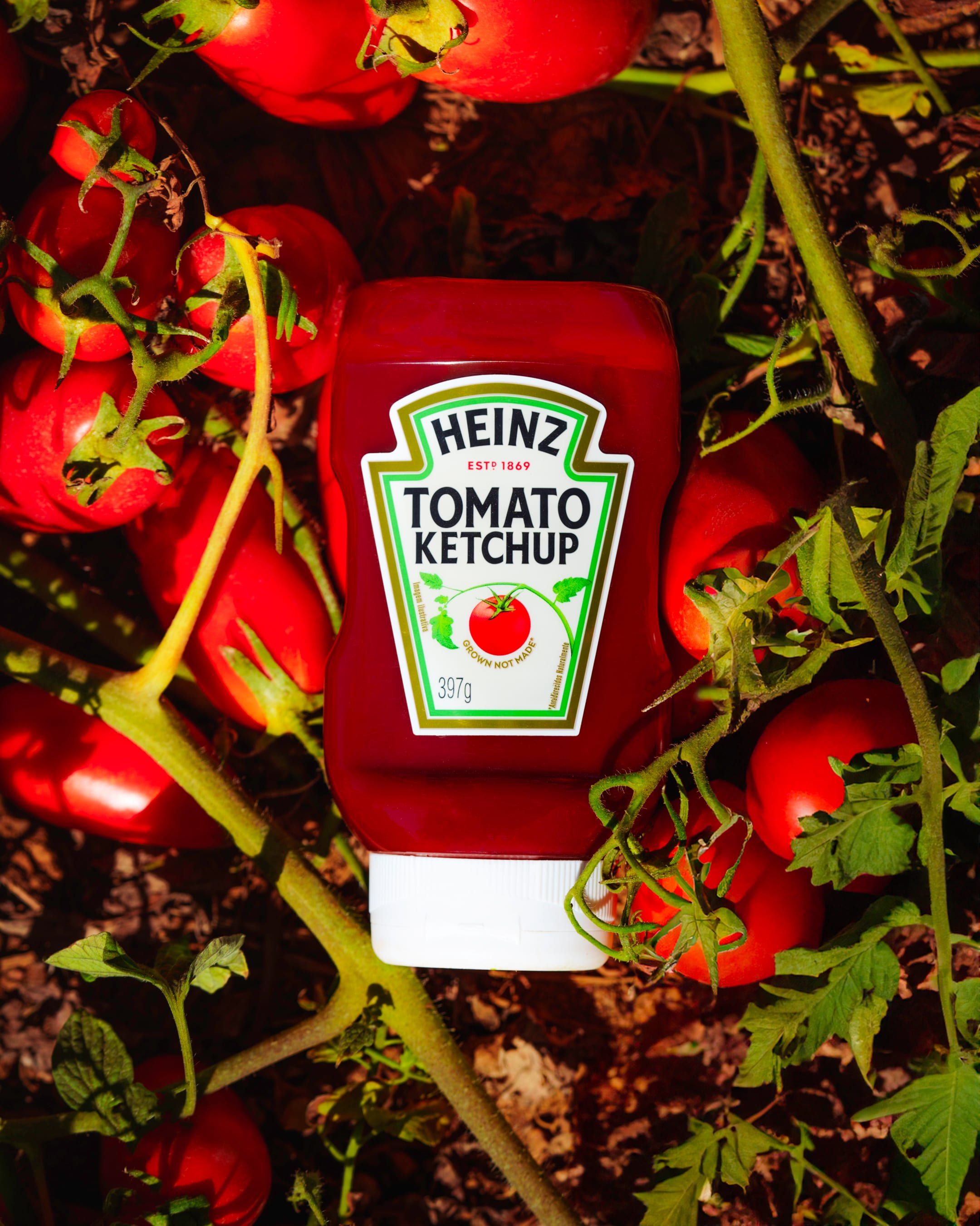 Please provide an alt for this image