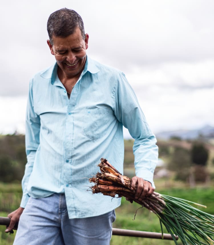 Man holding freshly harvested onions walking through a field on a farm