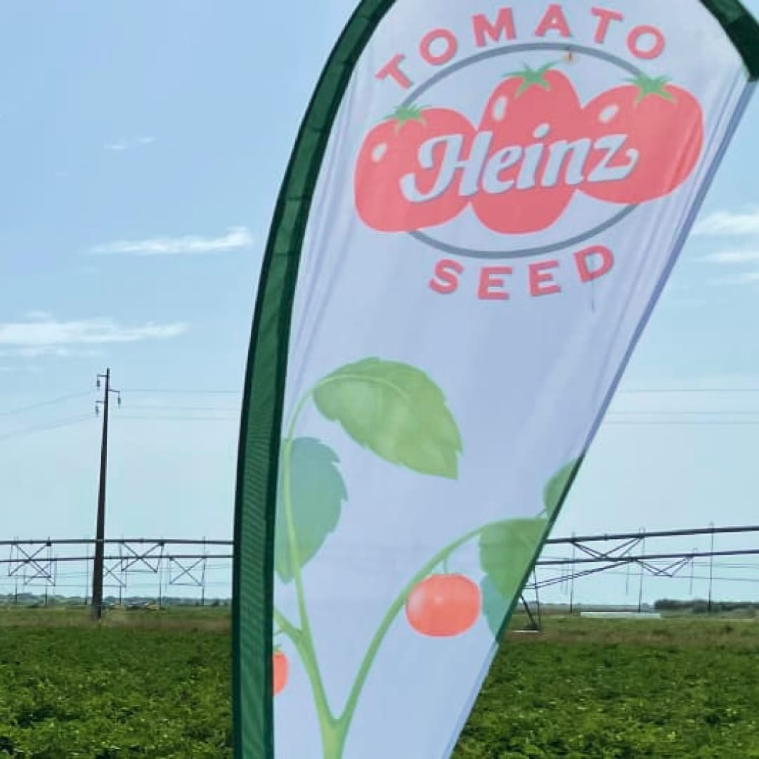 Heinz Seed advertisement banner with tomato plant.