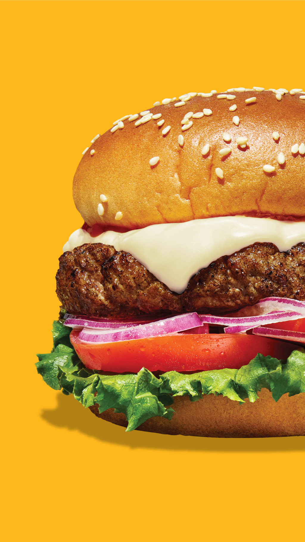 Un burger avec de la laitue, tomate, oignon, steak haché et fromage.