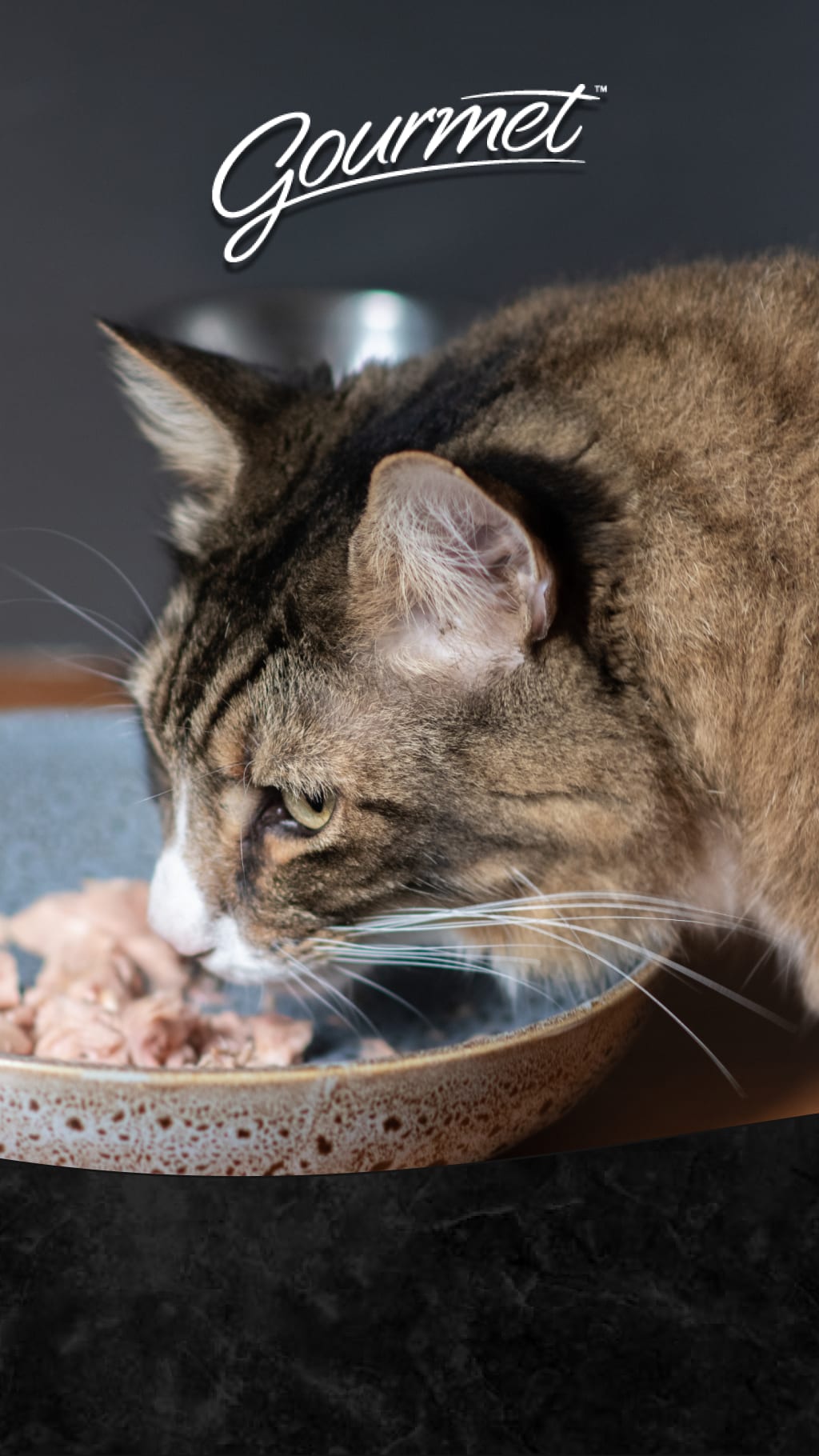 A tabby cat eating wet cat food out of a bowl.