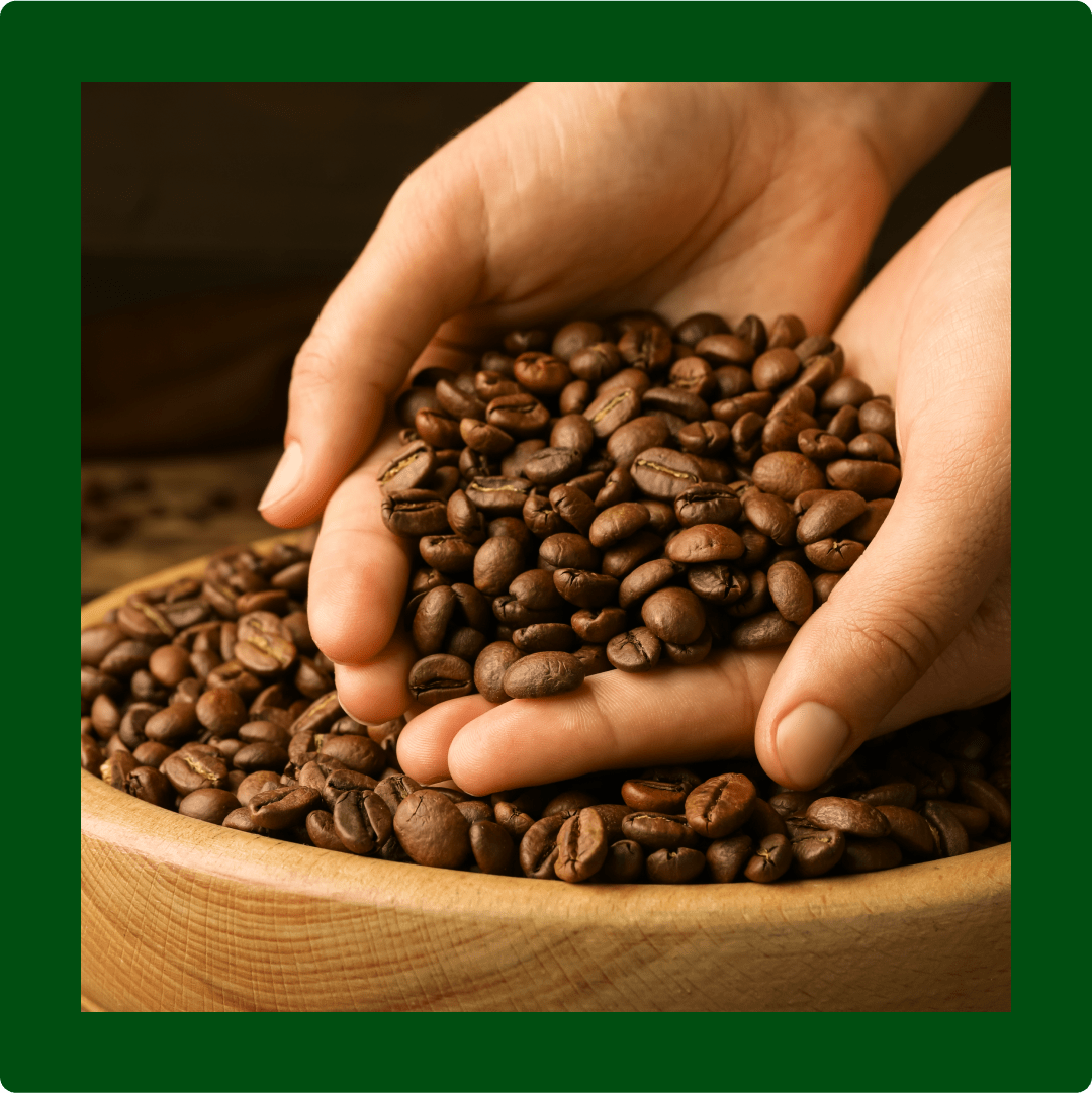 Des mains tenant des grains de café dans un bol en bois.