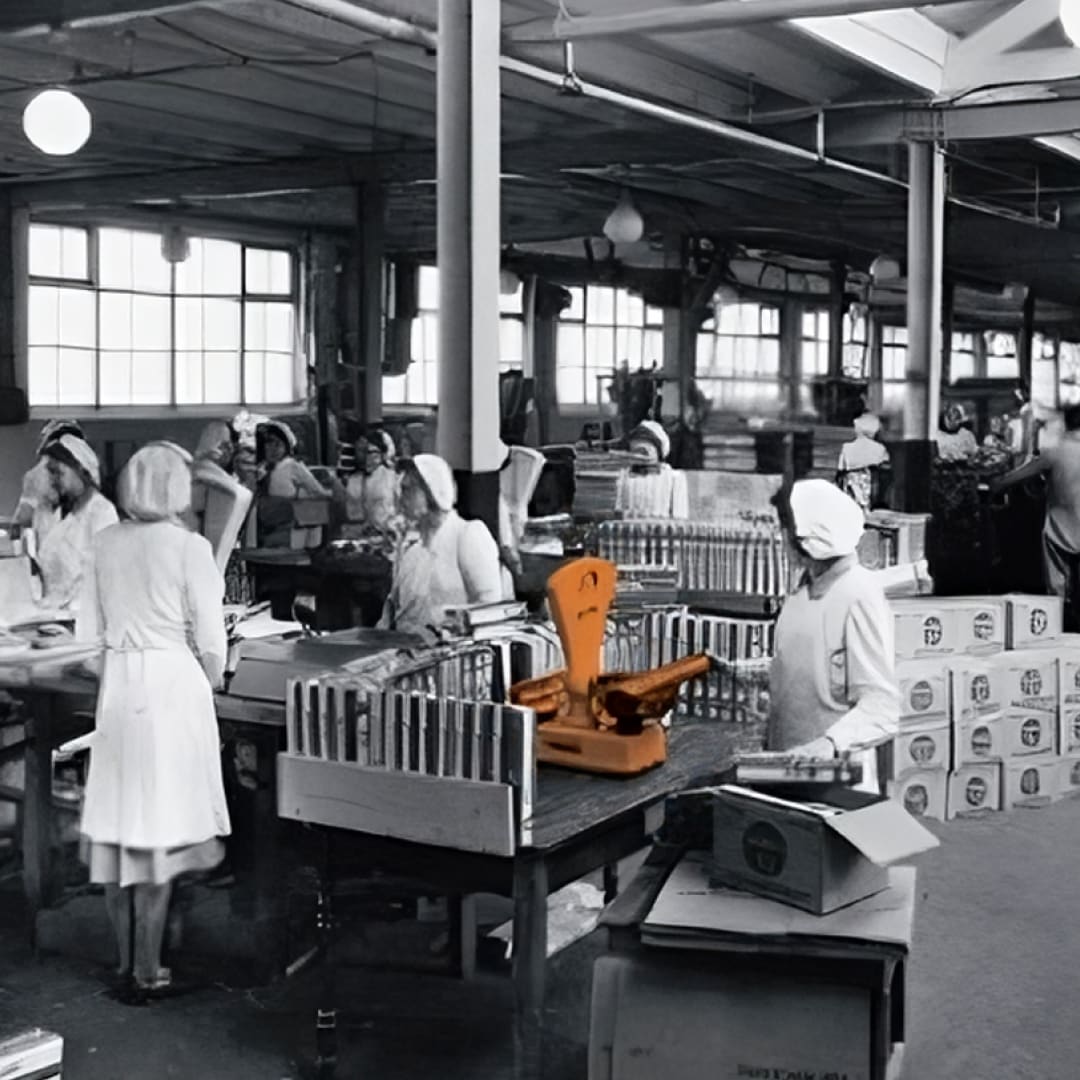 Foto van vrouwen die in een fabriek werken, met een weegschaal op de voorgrond.