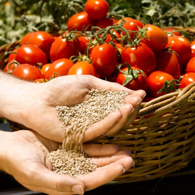 Please provide an alt for this image