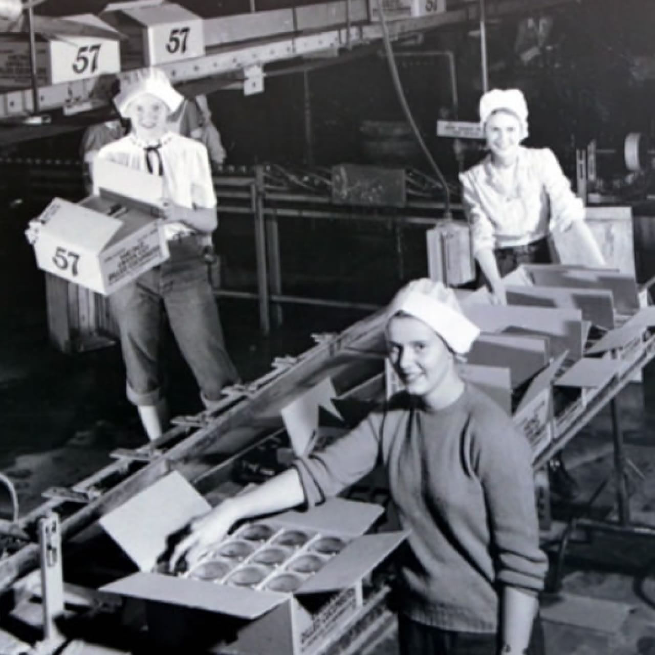 Please provide an alt for this image