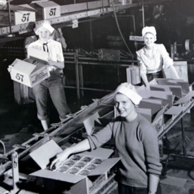 Please provide an alt for this image