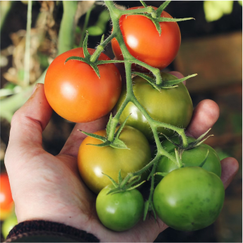 Please provide an alt for this image