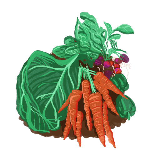 2021 BKI grantee Black Soil connects farmers and producers from all over Kentucky to urban families and their agricultural ro