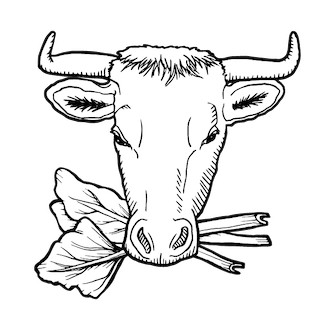 Stier_Just_Spices