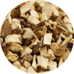 Champignons