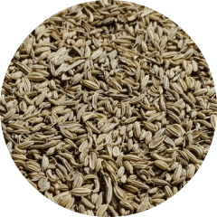 Fenchel