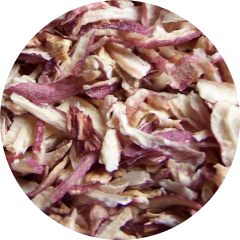 Rote Zwiebel