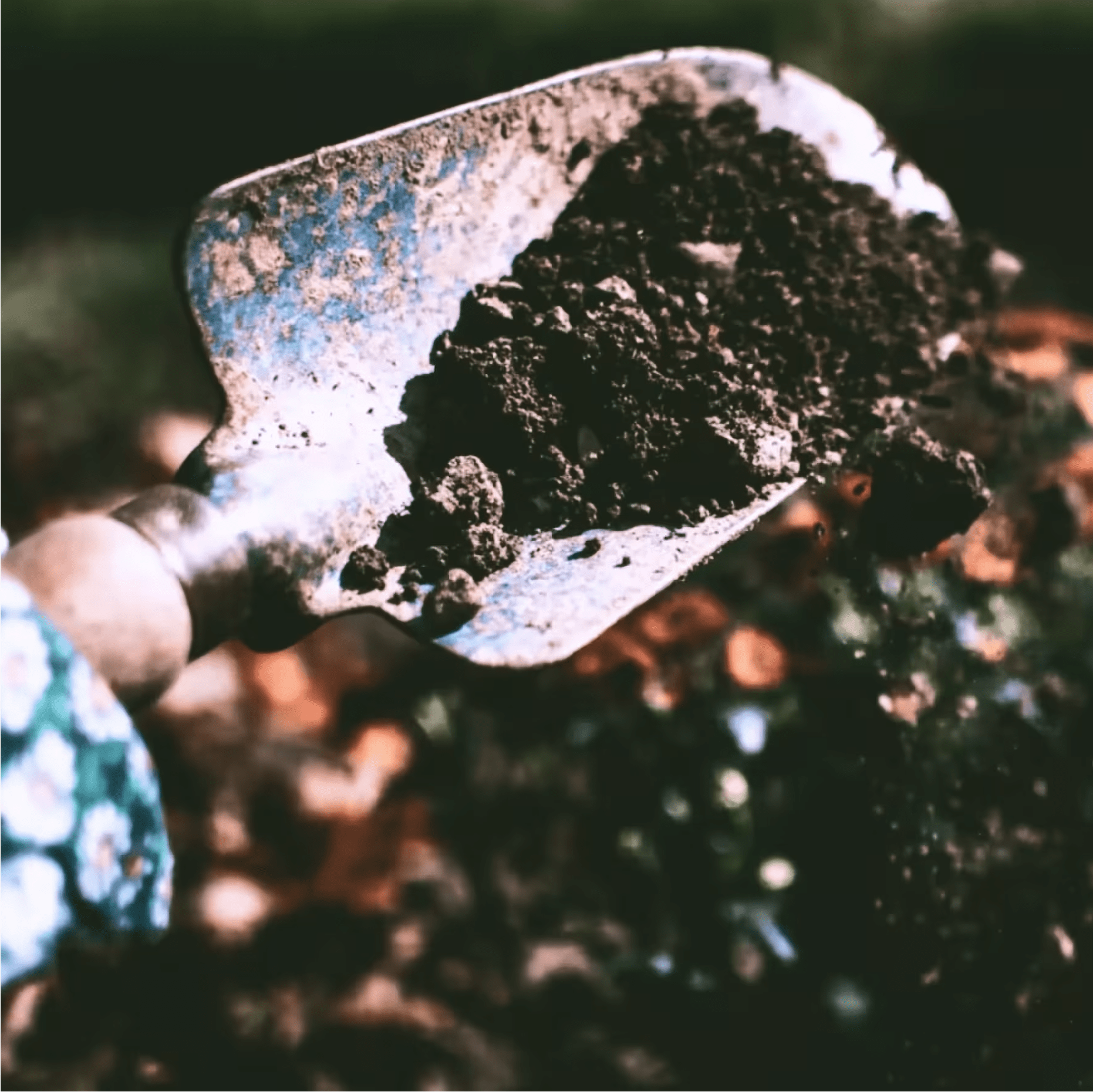 Close-up of a garden trowel filled with dark, rich soil. The trowel is slightly worn, suggesting frequent use. The blurred ba
