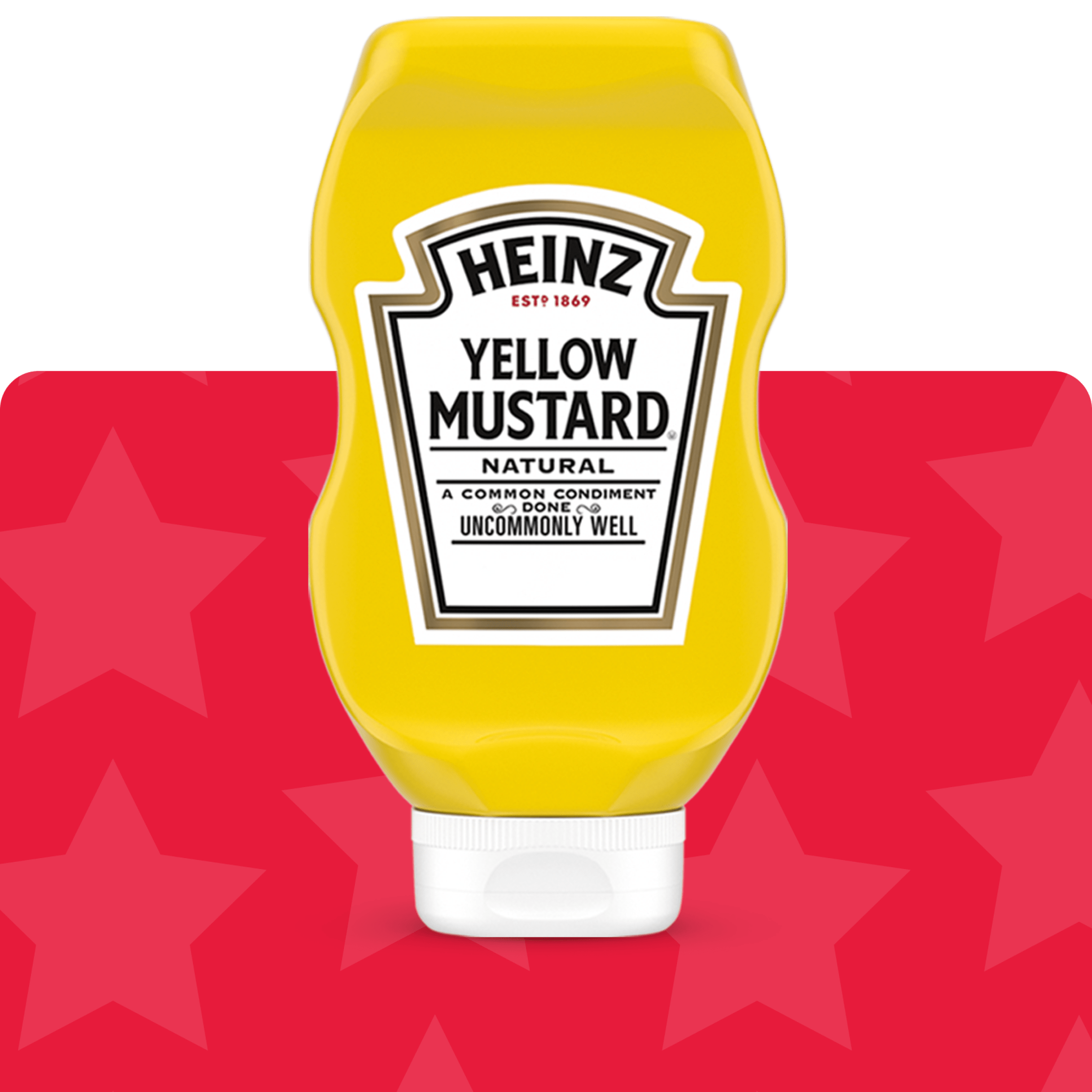 Heinz Mustard 