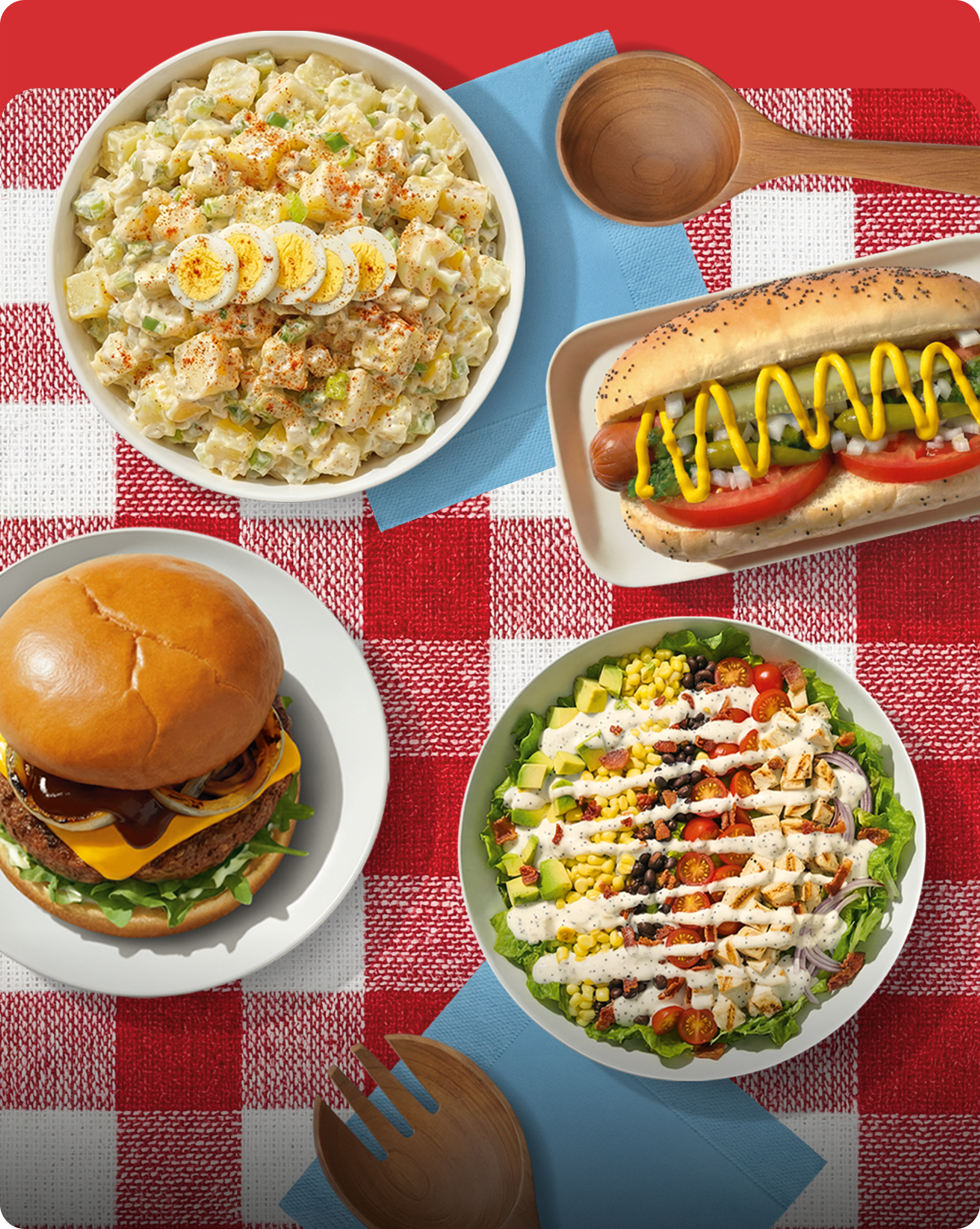 Picnic Food Spread on Red Gingham Tablecloth