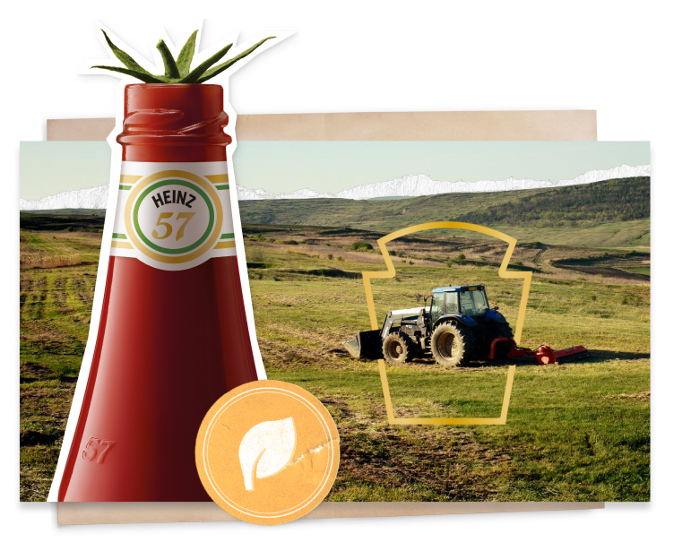 A bottle of Heinz Ketchup, full of top quality ingredients, and a farmer on a tractor in a tomato field, growing sustainably.
