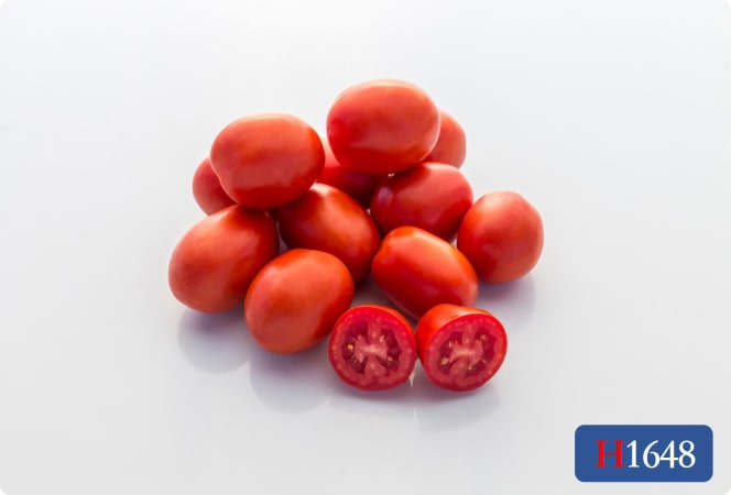 tomato Tomato, Sunray , Heirloom Tomato Seeds: Totally Tomatoes