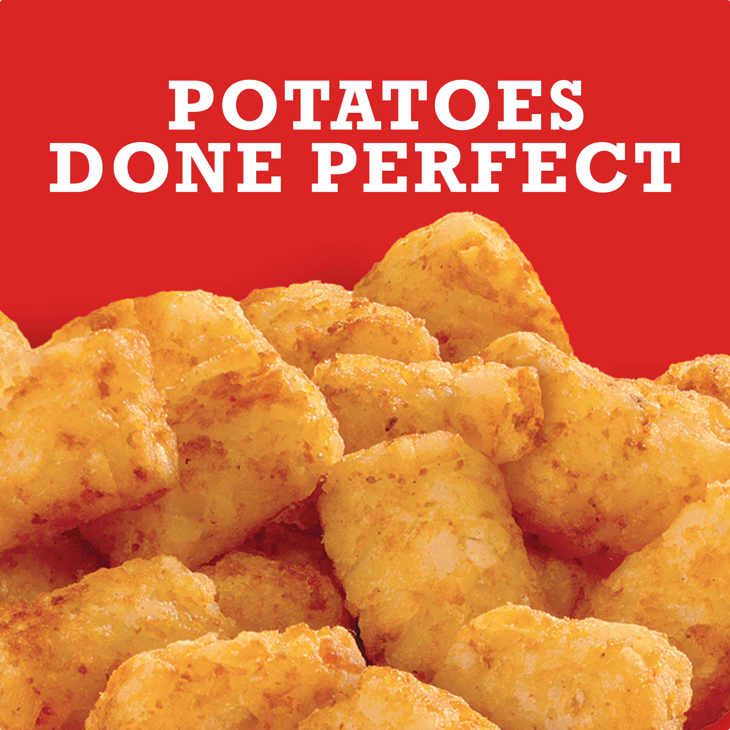 Crispy Tater Tots Seasoned Shredded Potatoes