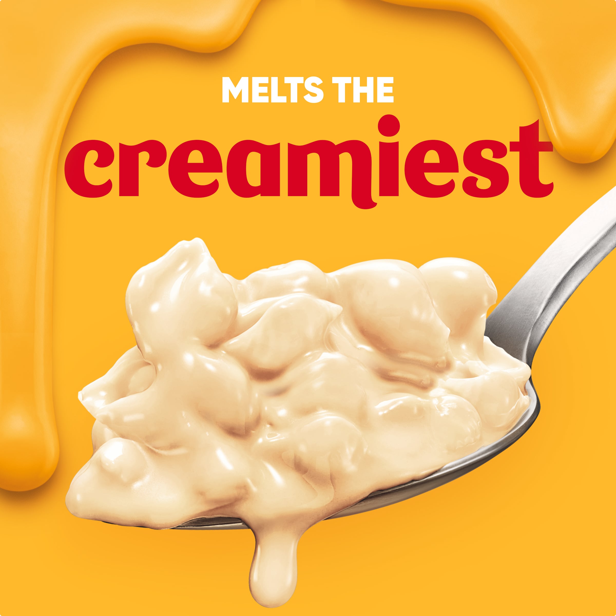 Shells & Cheese Queso Blanco Shell Pasta & Cheese Sauce