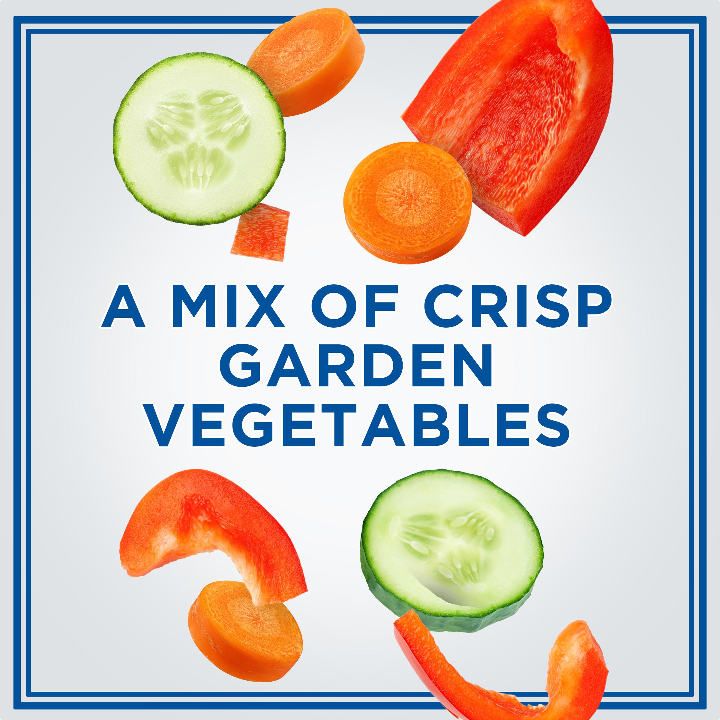 Multigrain Bagel Chips & Garden Vegetable Cream Cheese Dip Snack