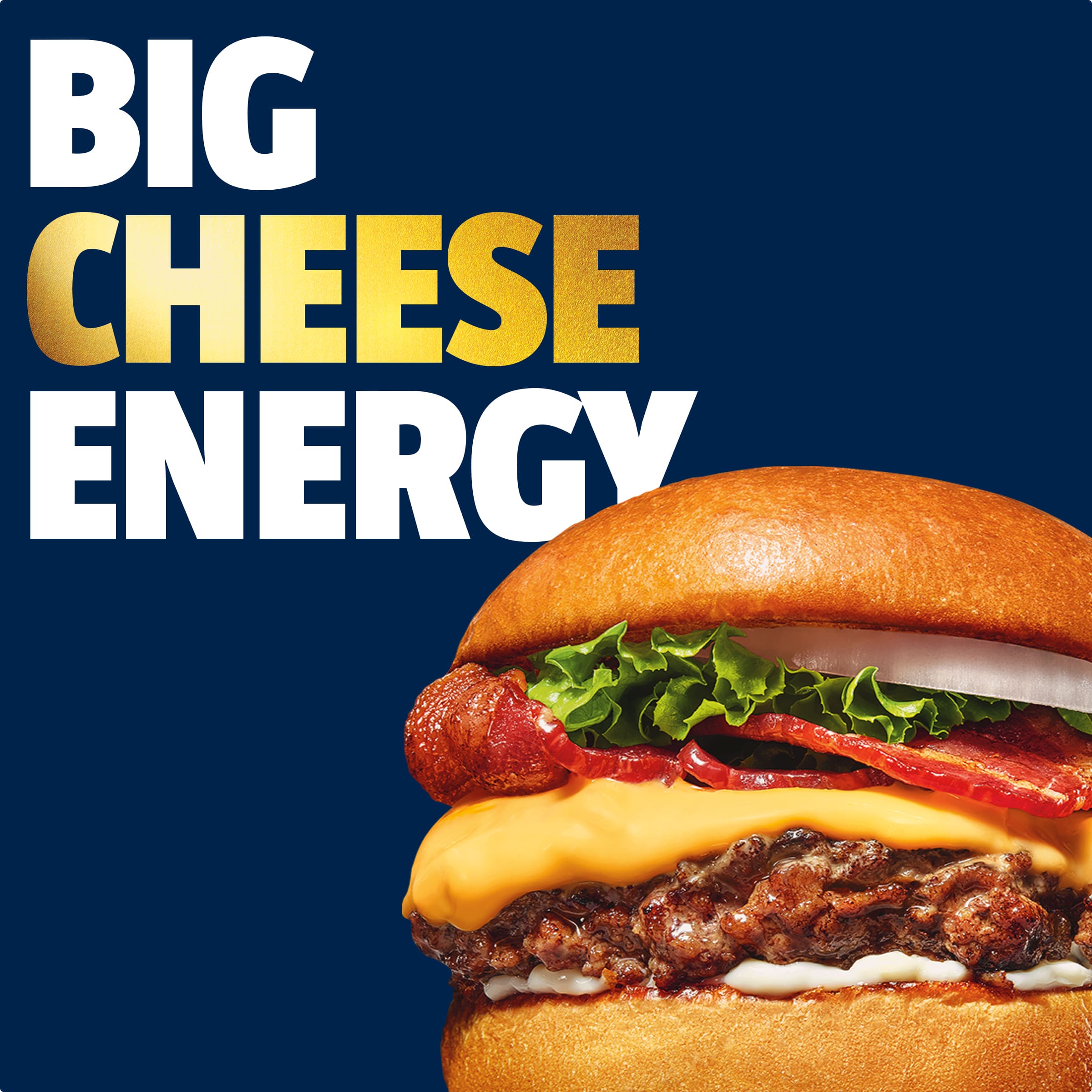 Deli Deluxe American Cheese Slices with 2% Milk