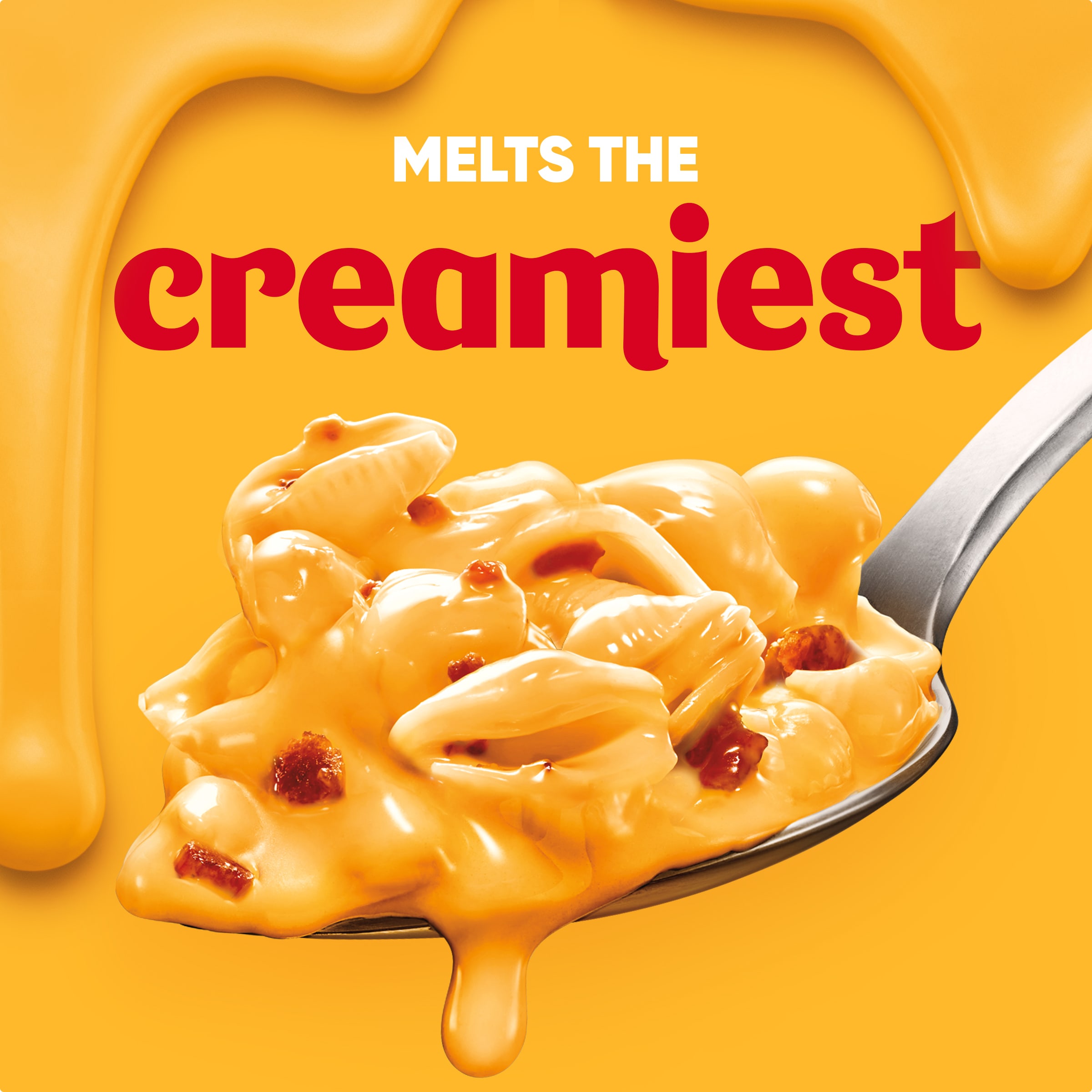 Shells & Cheese with Bacon, Shell Pasta & Cheese Sauce Meal