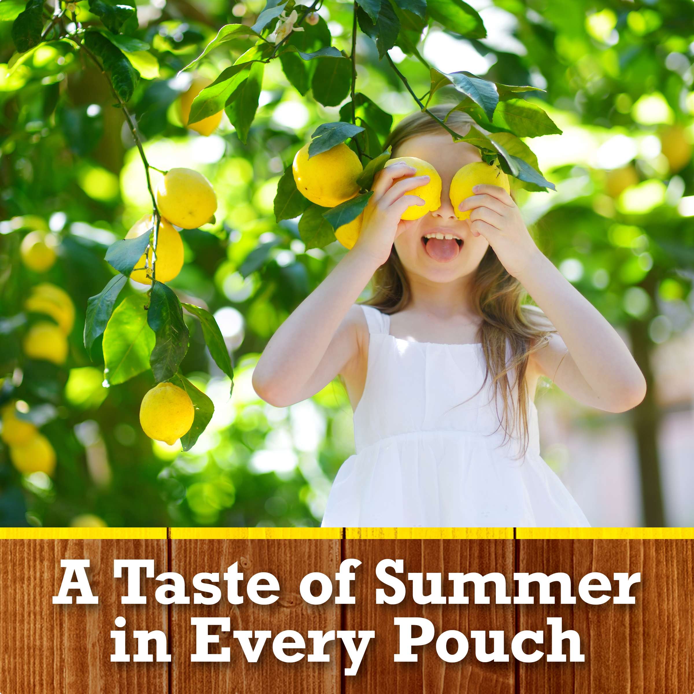 Lemonade Ready to Drink Flavored Drink Pouches