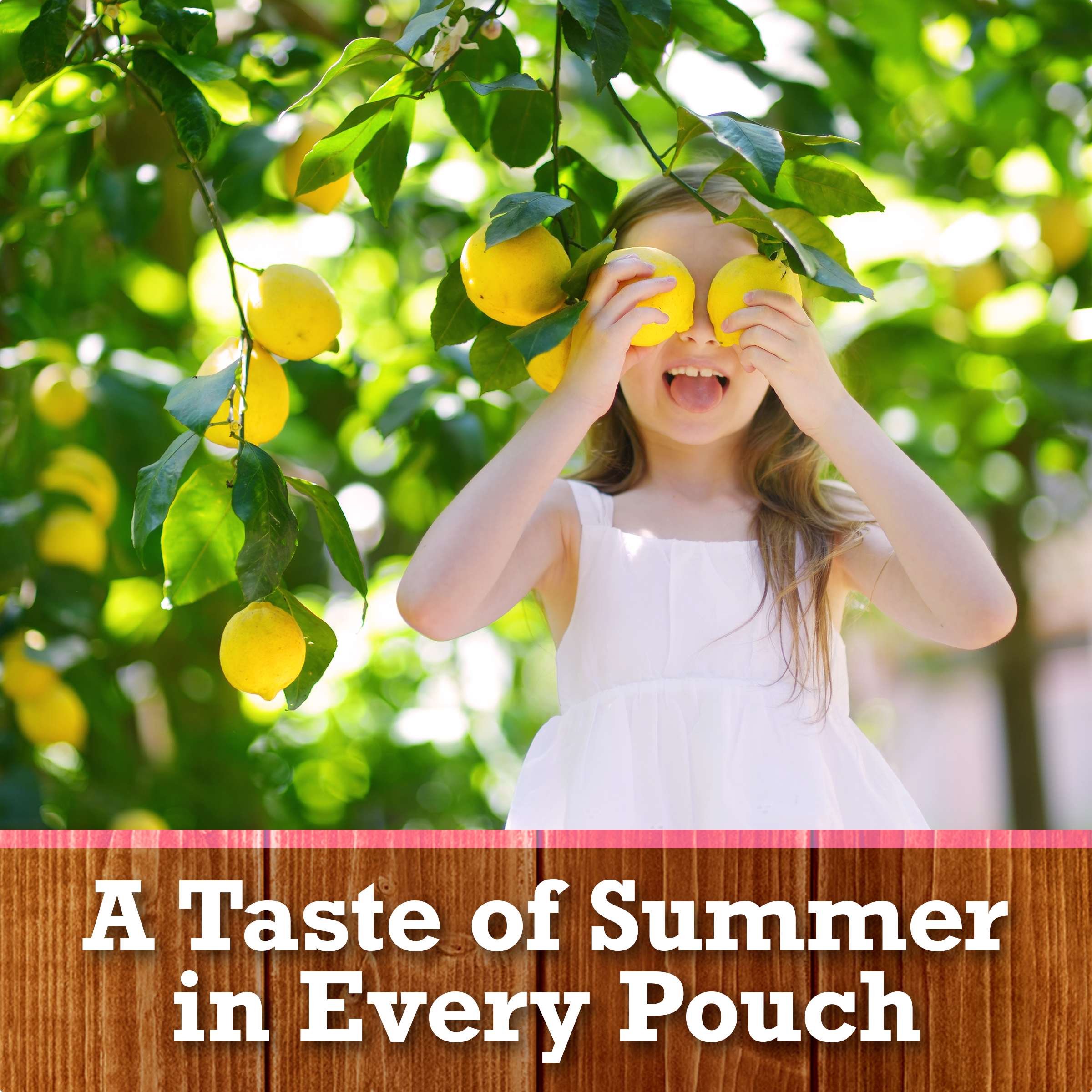 Strawberry Lemonade Ready to Drink Flavored Drink Pouches