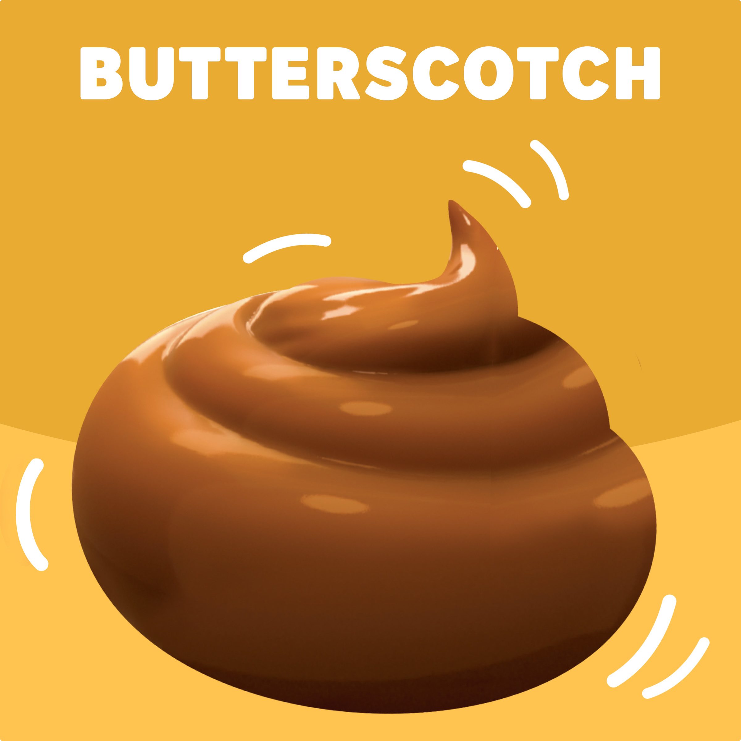 Butterscotch Instant Pudding Pie Filling Mix JELL O Products Heinz