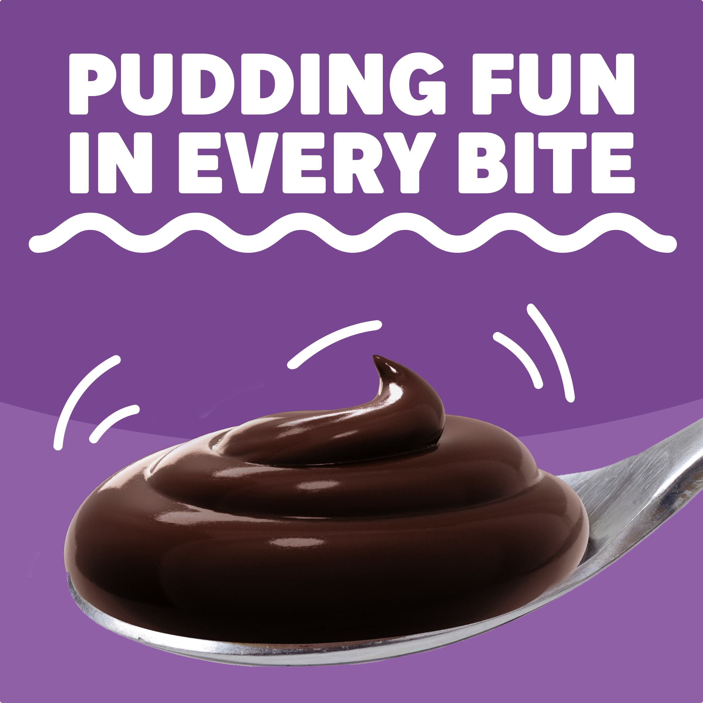 Chocolate Fudge Instant Pudding & Pie Filling Mix