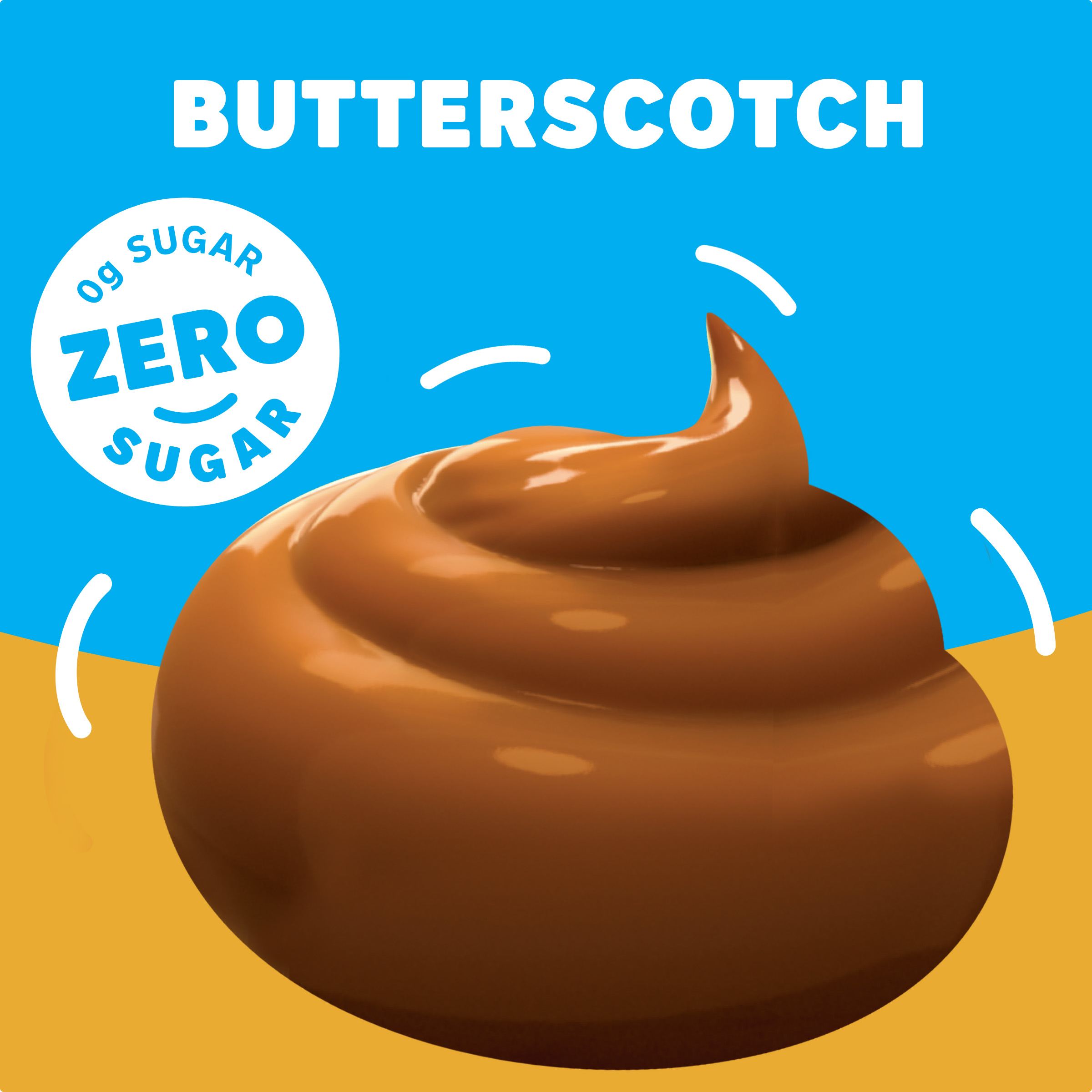 Zero Sugar Butterscotch Flavor Instant Pudding & Pie Filling
